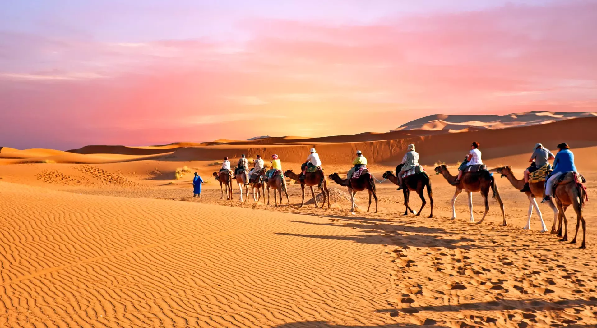 Sahara Desert, Morocco Camel caravan going through the sand dunes in the Sahara Desert, Morocco at sunset