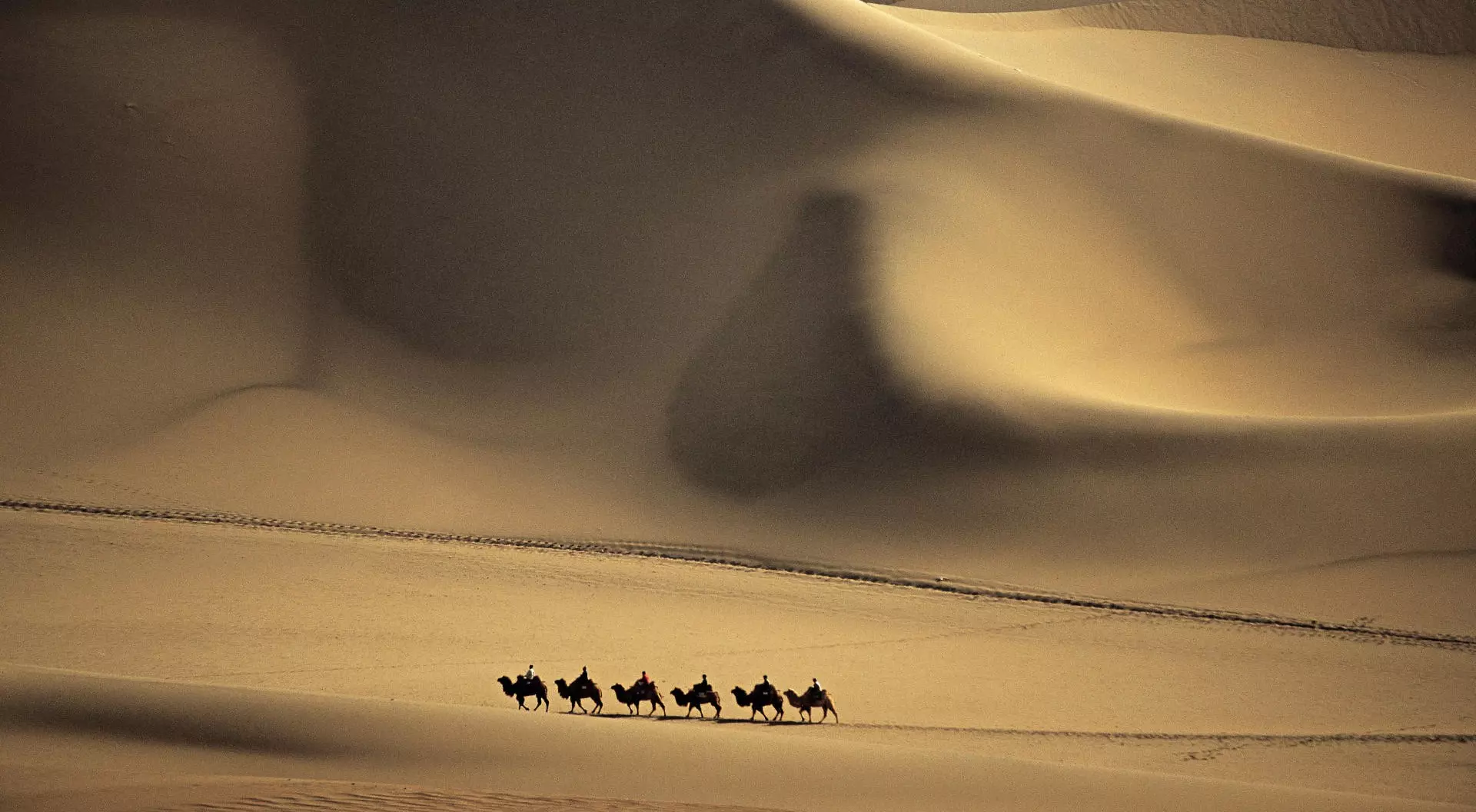 China Camel caravan passes through the Sands of the Taklimakan Desert