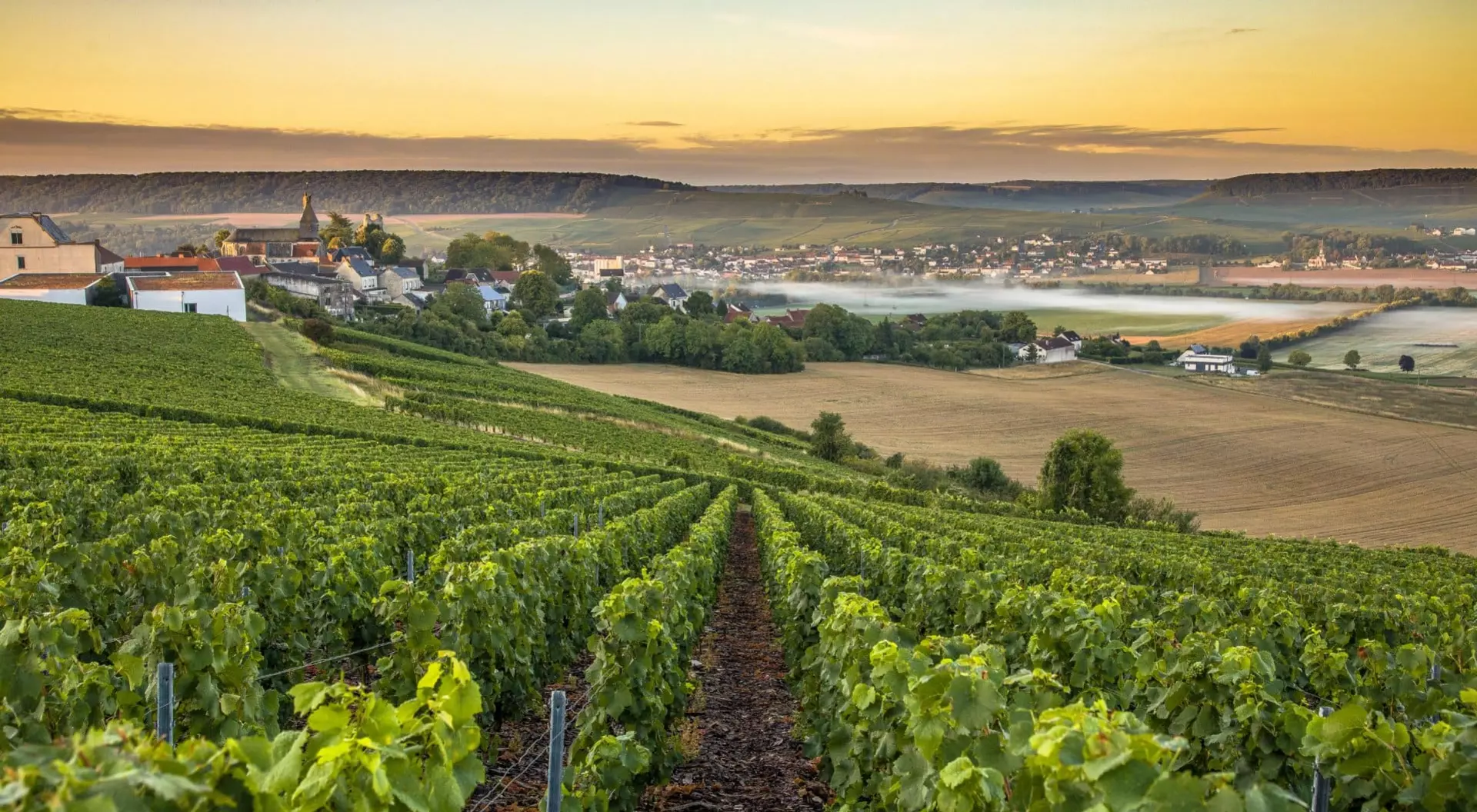 Montagne de Reims Champagne region in France