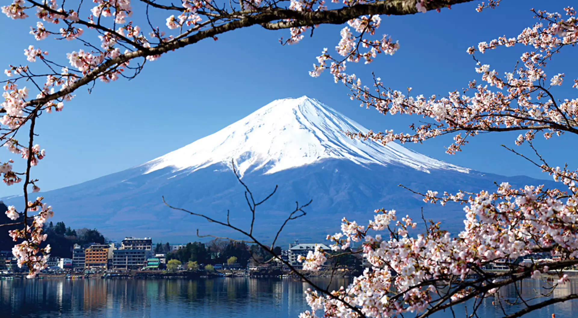 Mount Fuji, Japan Cherry Blossoms and Mount Fuji, Japan