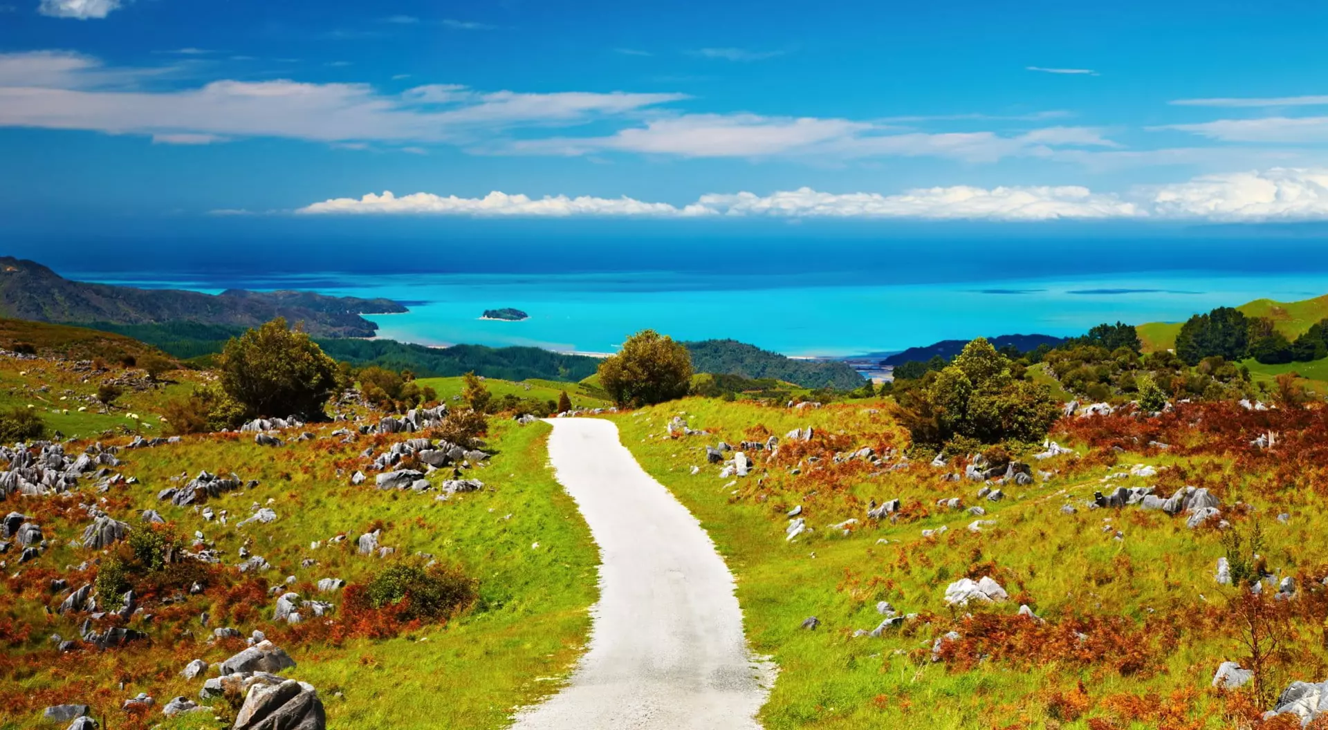 Coastal View, Abel Tasman National Park, New Zealand