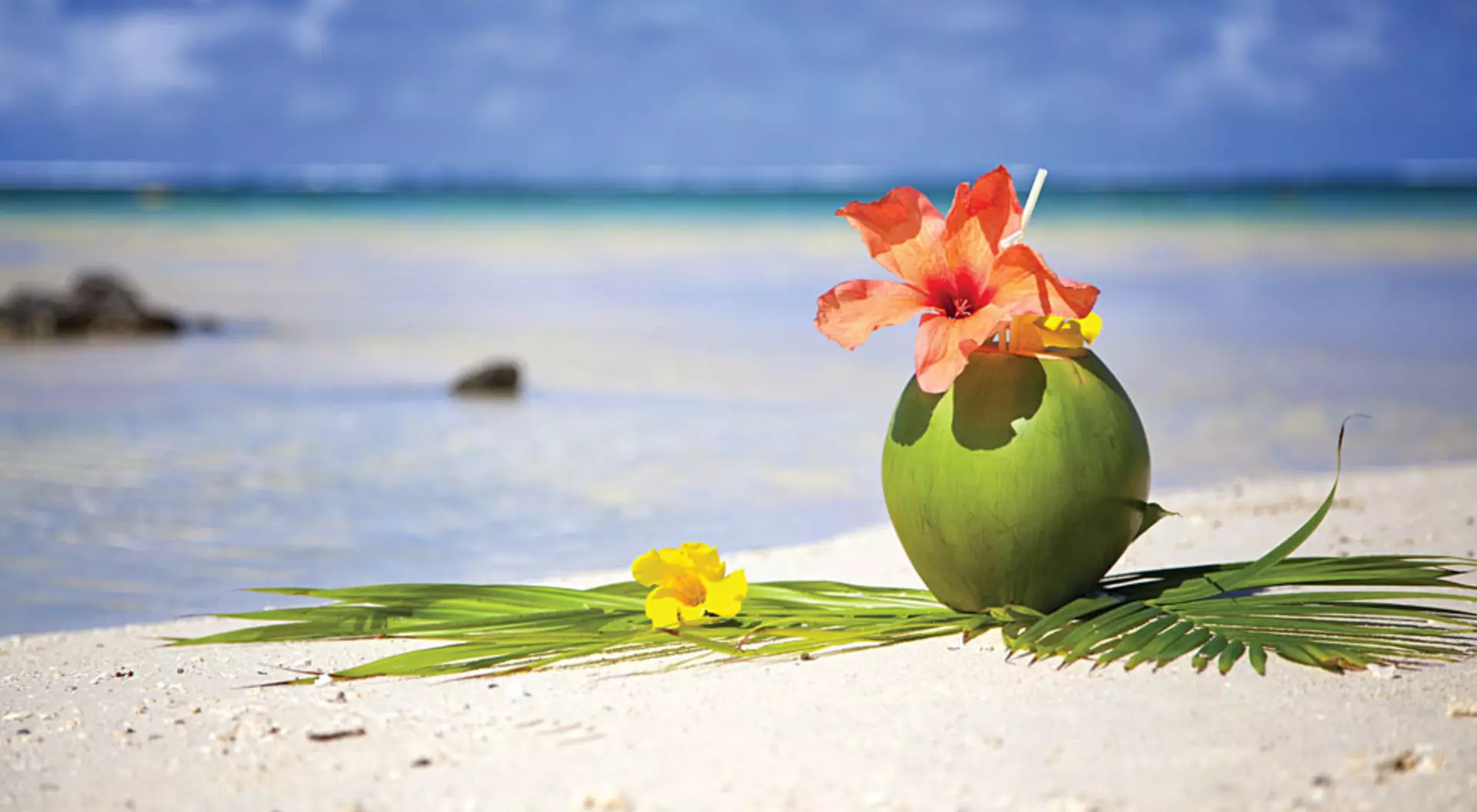 Coconut at the Beach of Mauritius