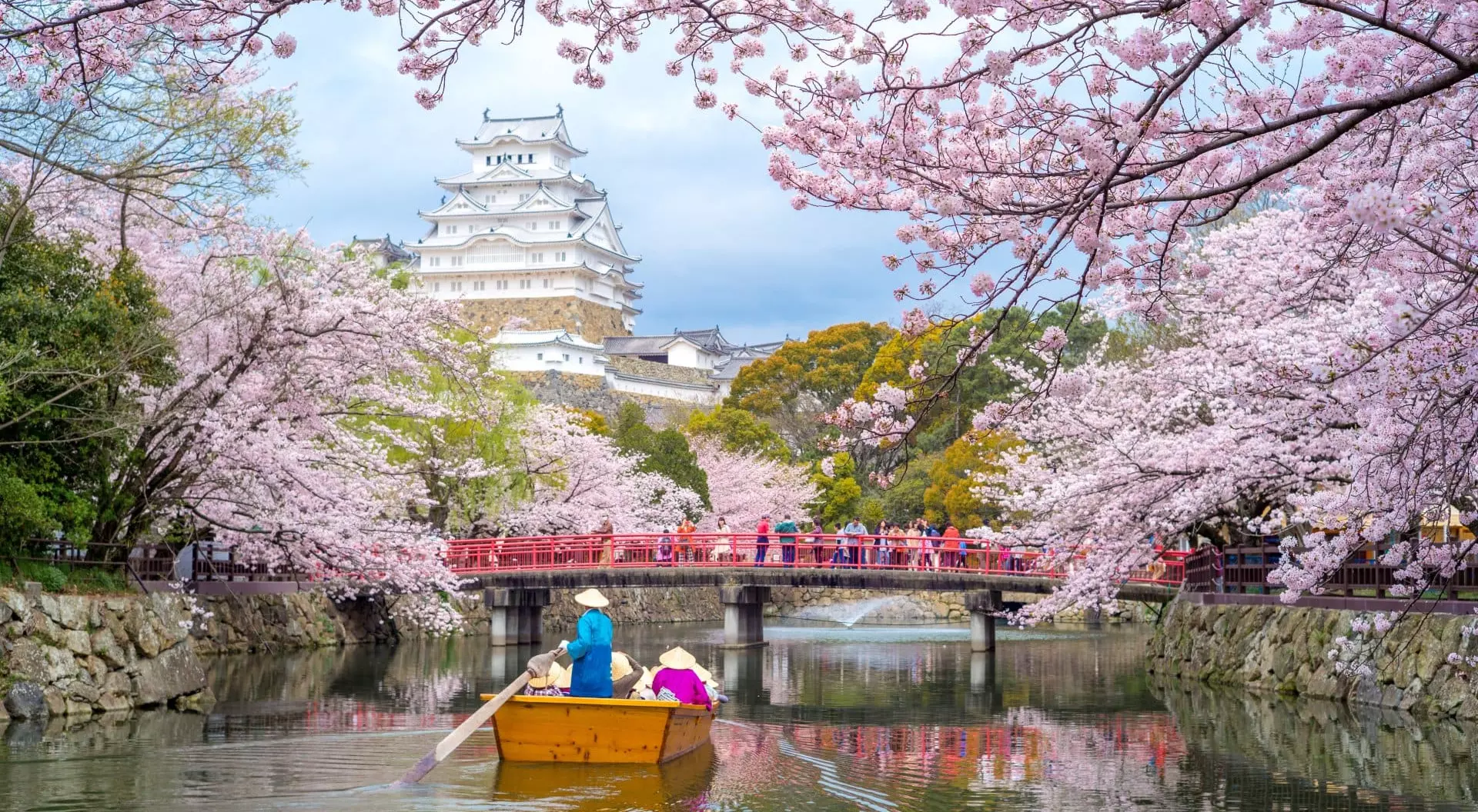 Himeji Castle with beautiful cherry blossom in spring season, Kyoto, Japan