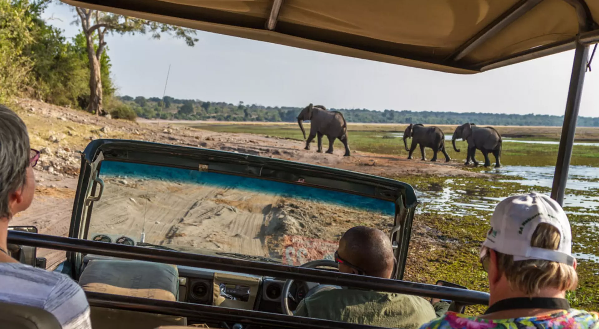 Botswana Viewing elephants from within a safari vehicle on an African Safari in Botswana