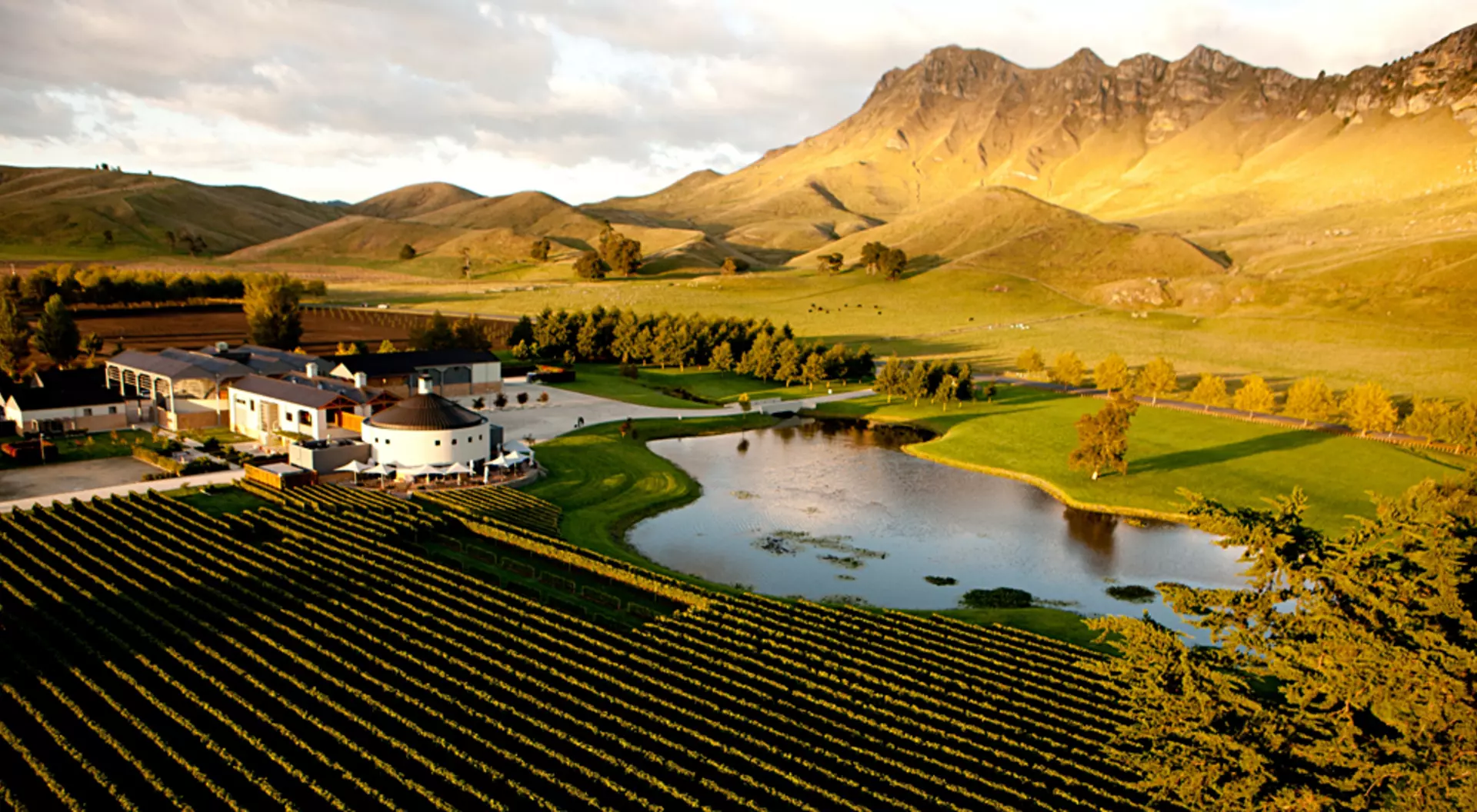 Janie Robinson - Craggy Range and Te Mata Peak, North Island, New Zealand