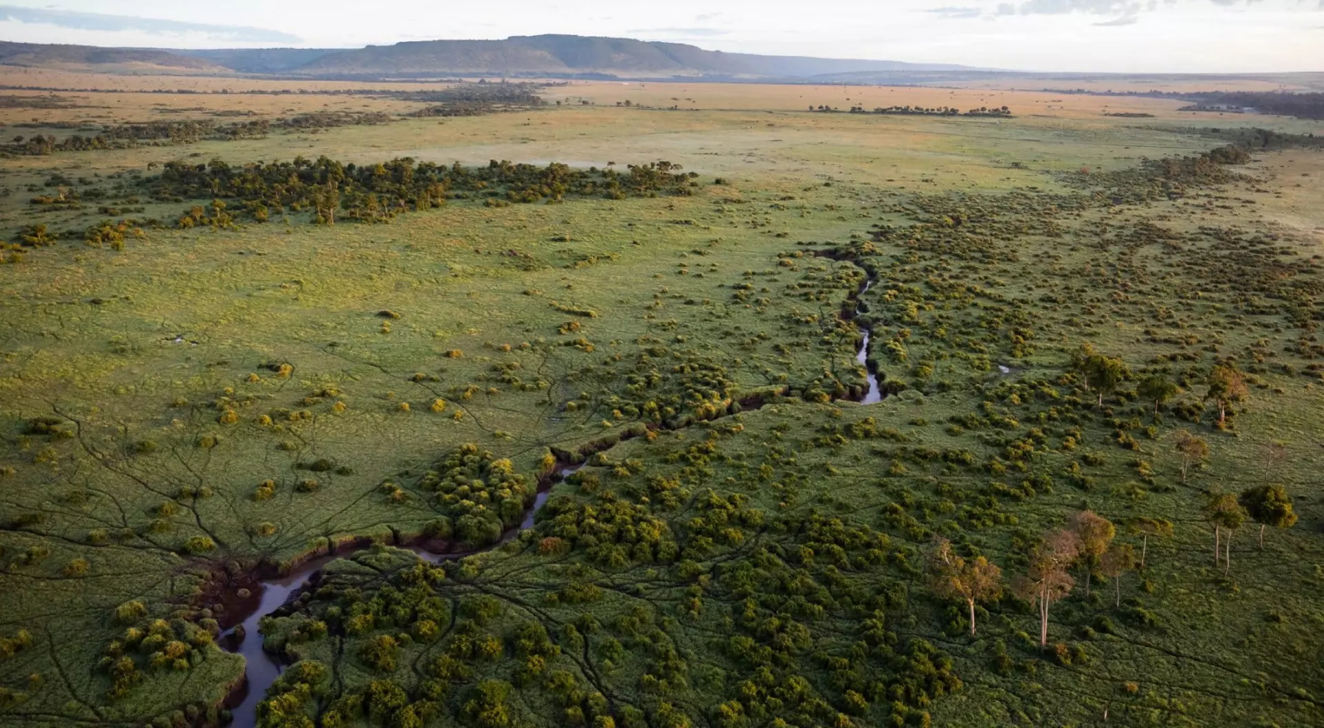 Maasai Mara Aerial View.