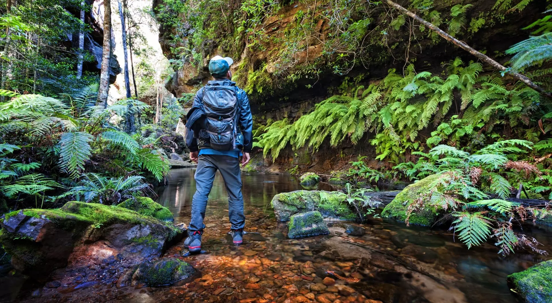 Man standing at Grand Canyon track in the Blue Mountains, Sydney, NSW, Australia