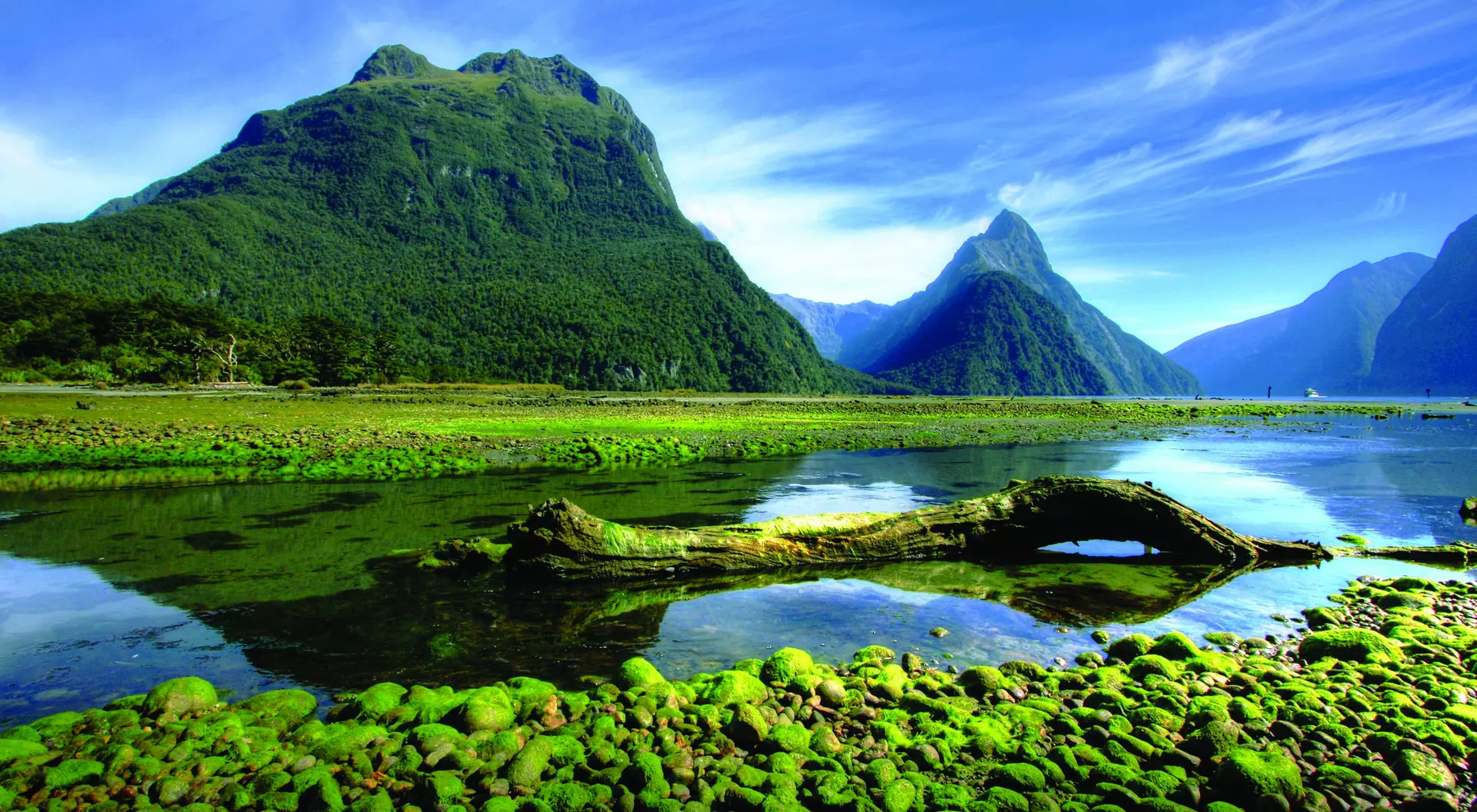 New Zealand: Luxurious Sights and Stays