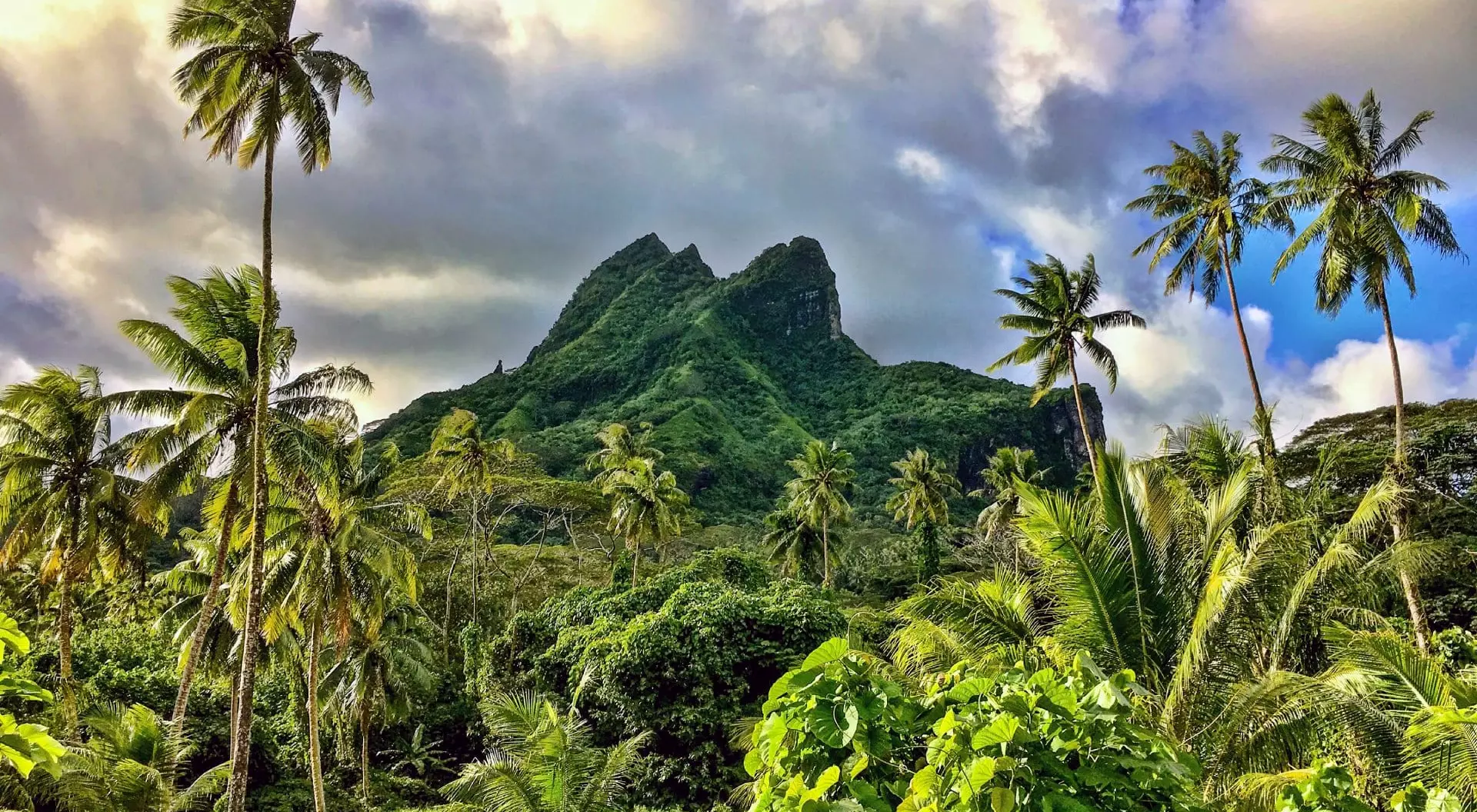 On a drive around Raiatea Island we came across this amazing landscape. Tall coconut palms and an ancient extinct volcano. French Polynesia.