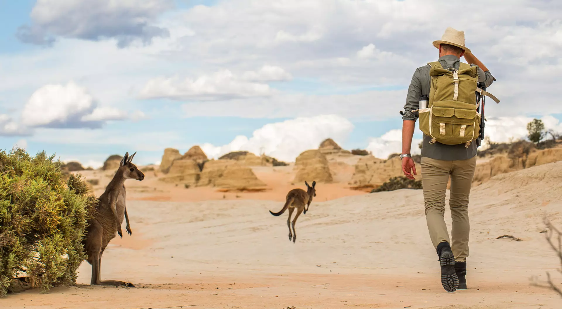 Kangaroos and other wildlife are your frequent companions in the Australian outback.
