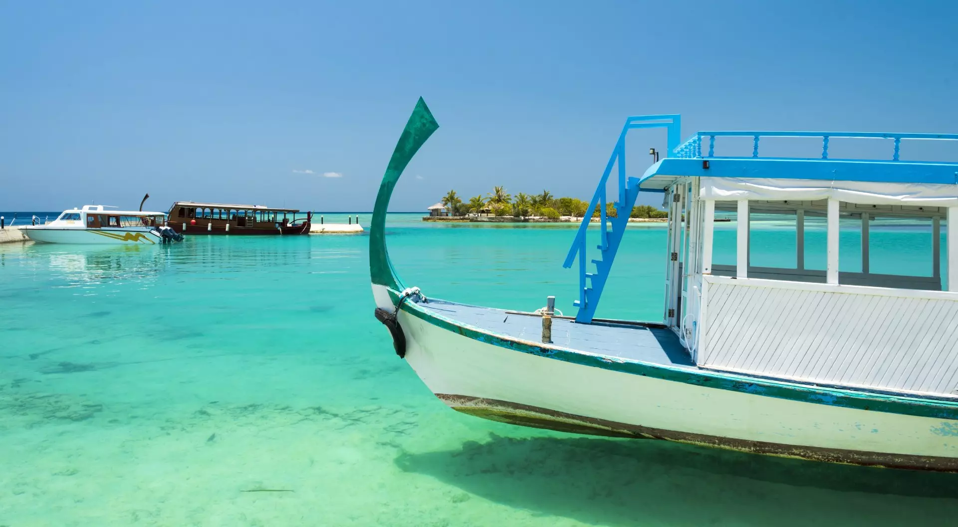 Maldives Perfect tropical island Maldives paradise beach Beautiful palm trees and tropical beach