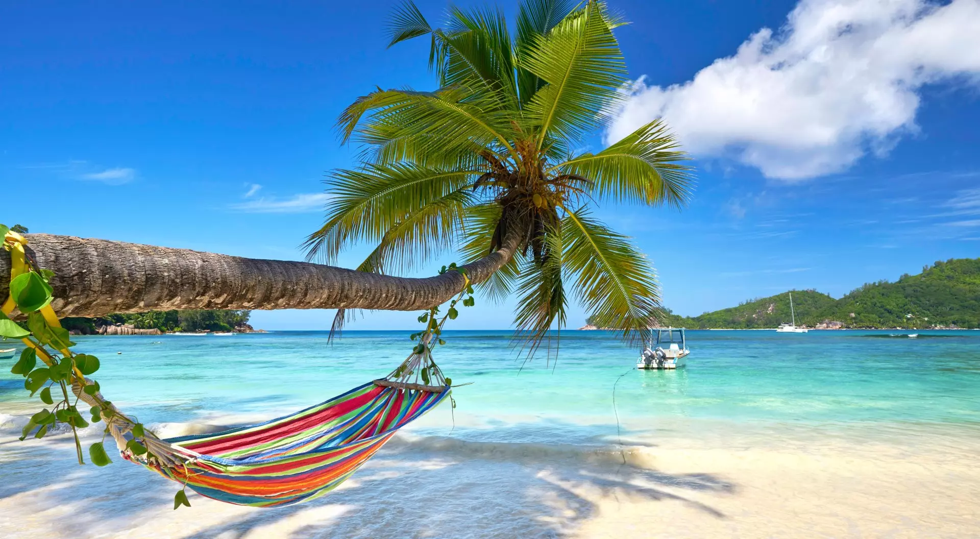 Romantic cozy hammock in the shadow of coconut palm tree at tropical paradise ocean beach, Seychelles