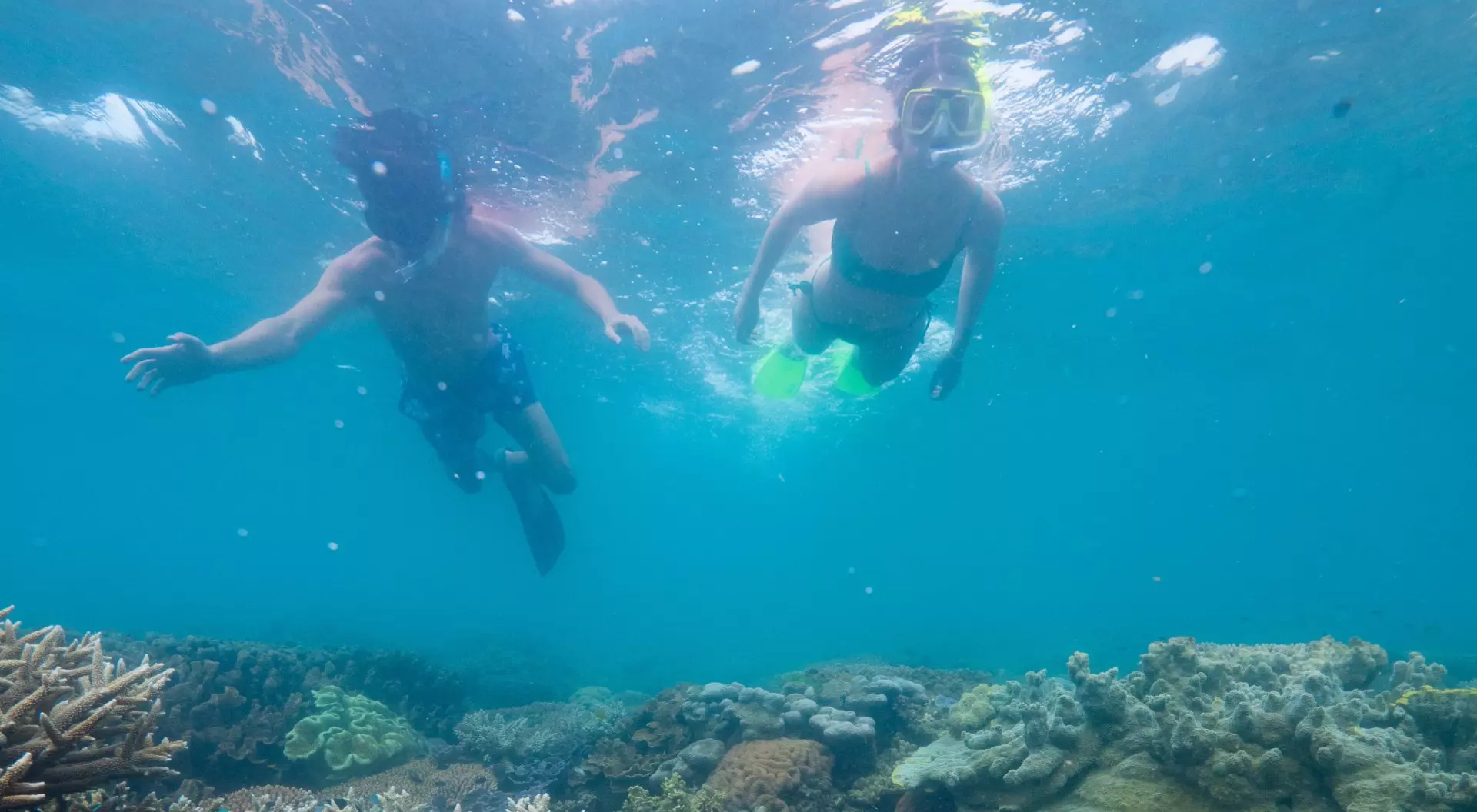 Two swimmers snorkel above a coral reef on Australia's Great Barrier Reef.
