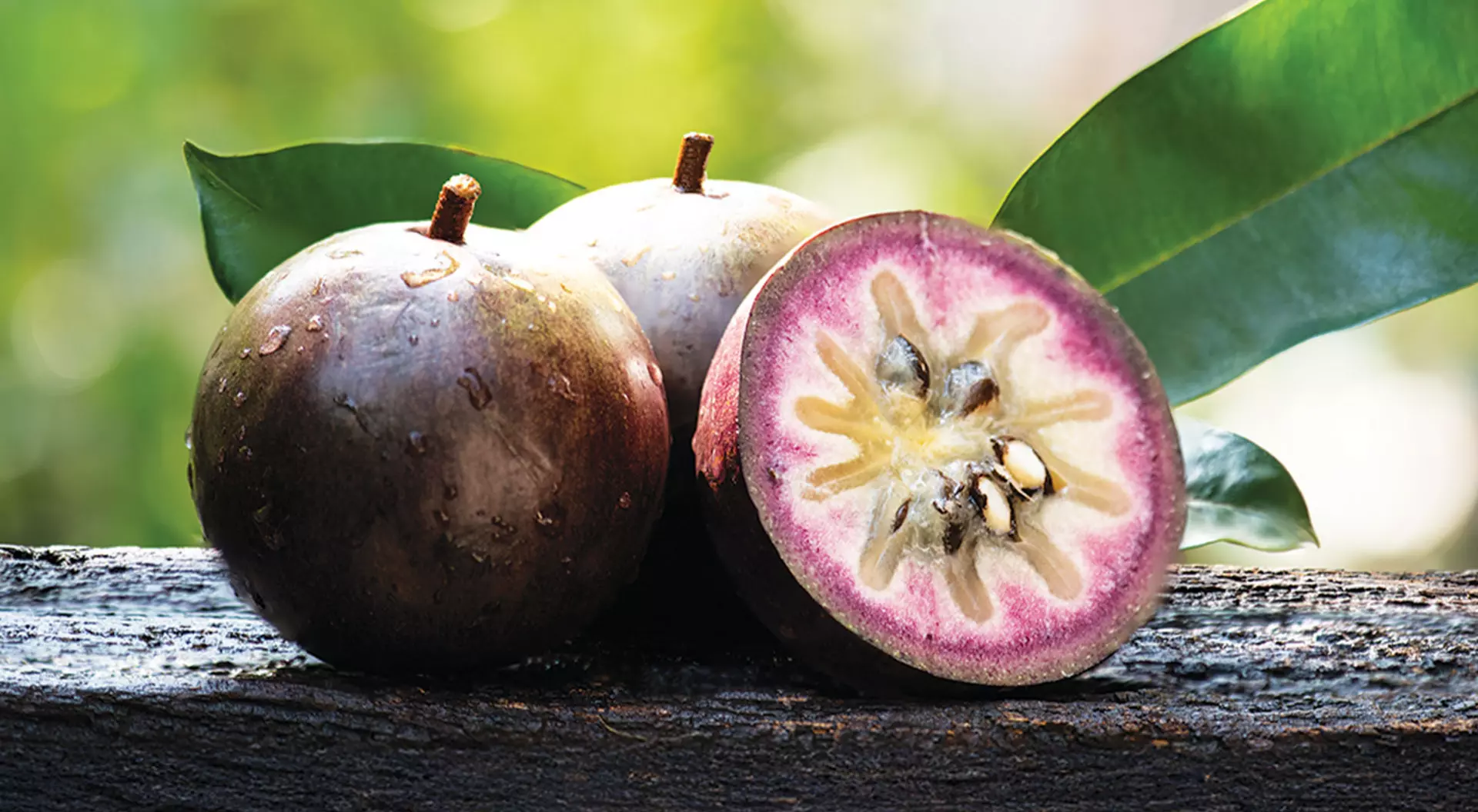 A star apple or cainito fruit in Hawai'i