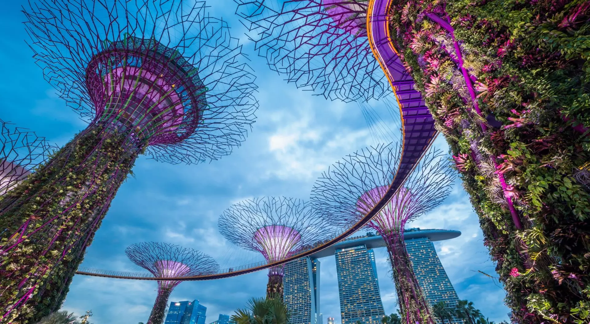 Supertrees at Garden by the Bay, Singapore