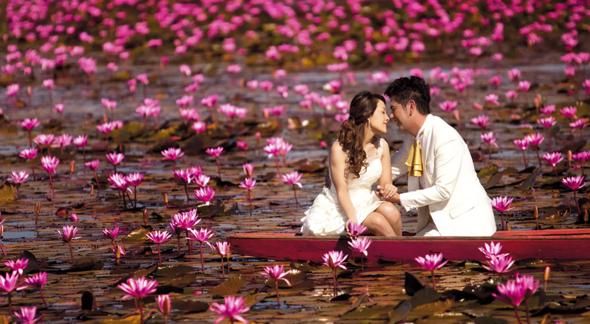 Red Lotus Sea, Nong Hang Lake, Thailand Thale Bua Dang or Red Lotus Sea, Nong Han Lake, Udon Thani, Published in Million of Red Lotuses Blossom at Nong Han. Kumphawapi, Osotho Magazine, Issued : February, 2012