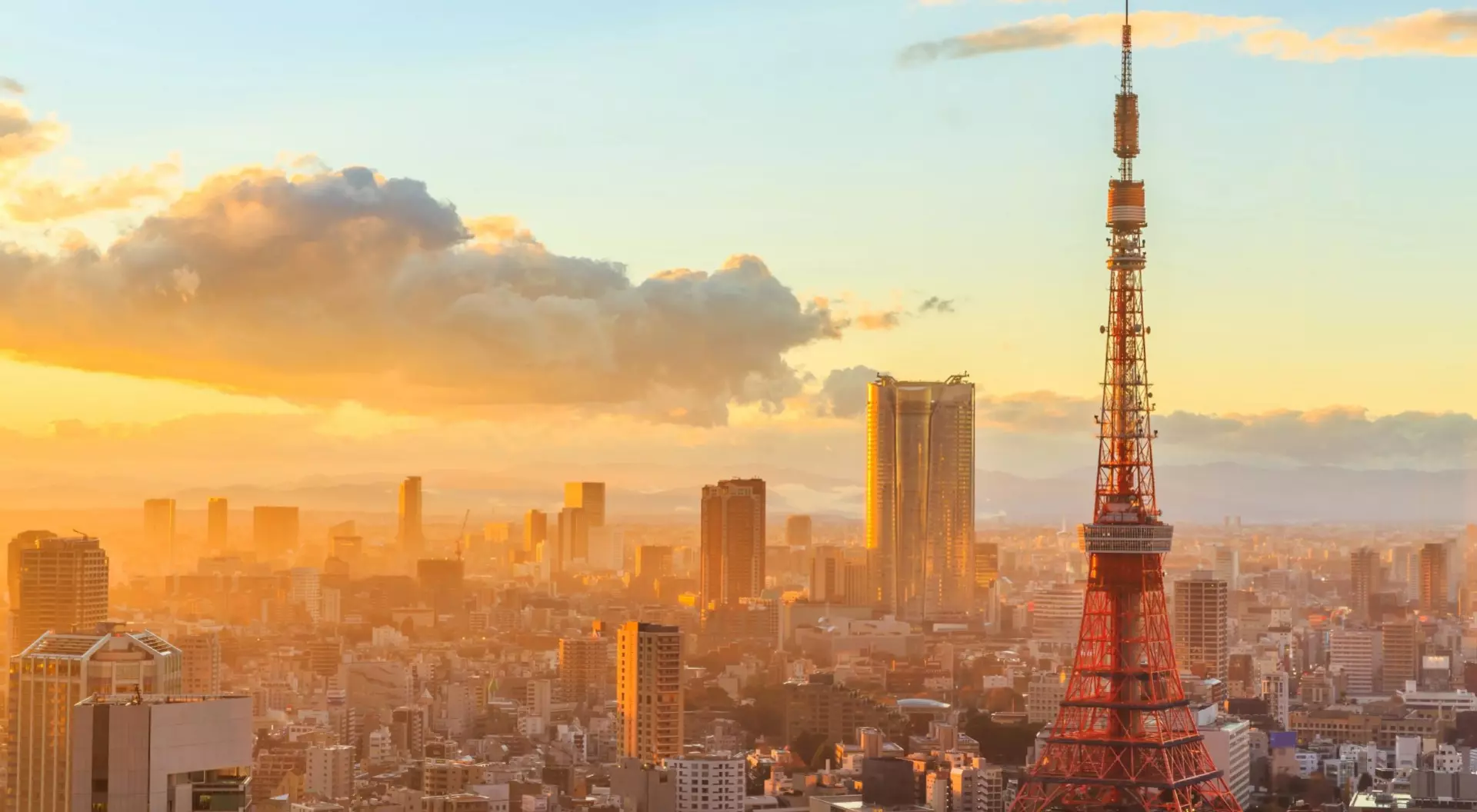 Tokyo, Japan Tokyo City Skyline at Sunset, Japan