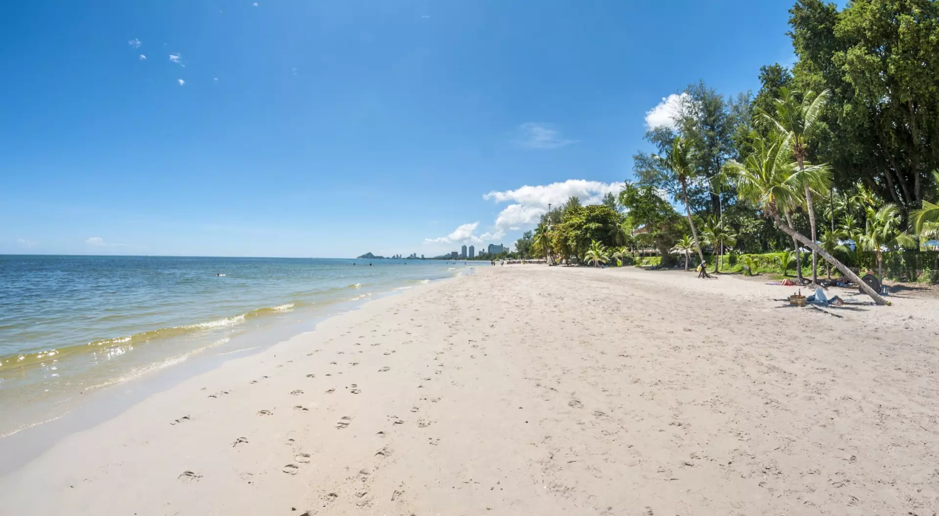 Tropical Beach With Palm Trees