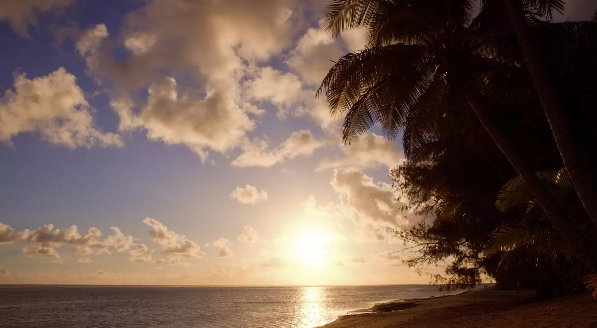 Cook Islands, Polynesia Tropical Beach with Coco Palms at Sunset - Rarotonga, Cook Islands, Polynesia