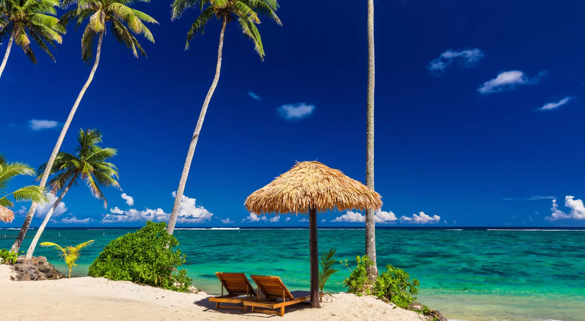 Samoa Islands Two beach chairs under umbrella with palm trees, Samoa Islands