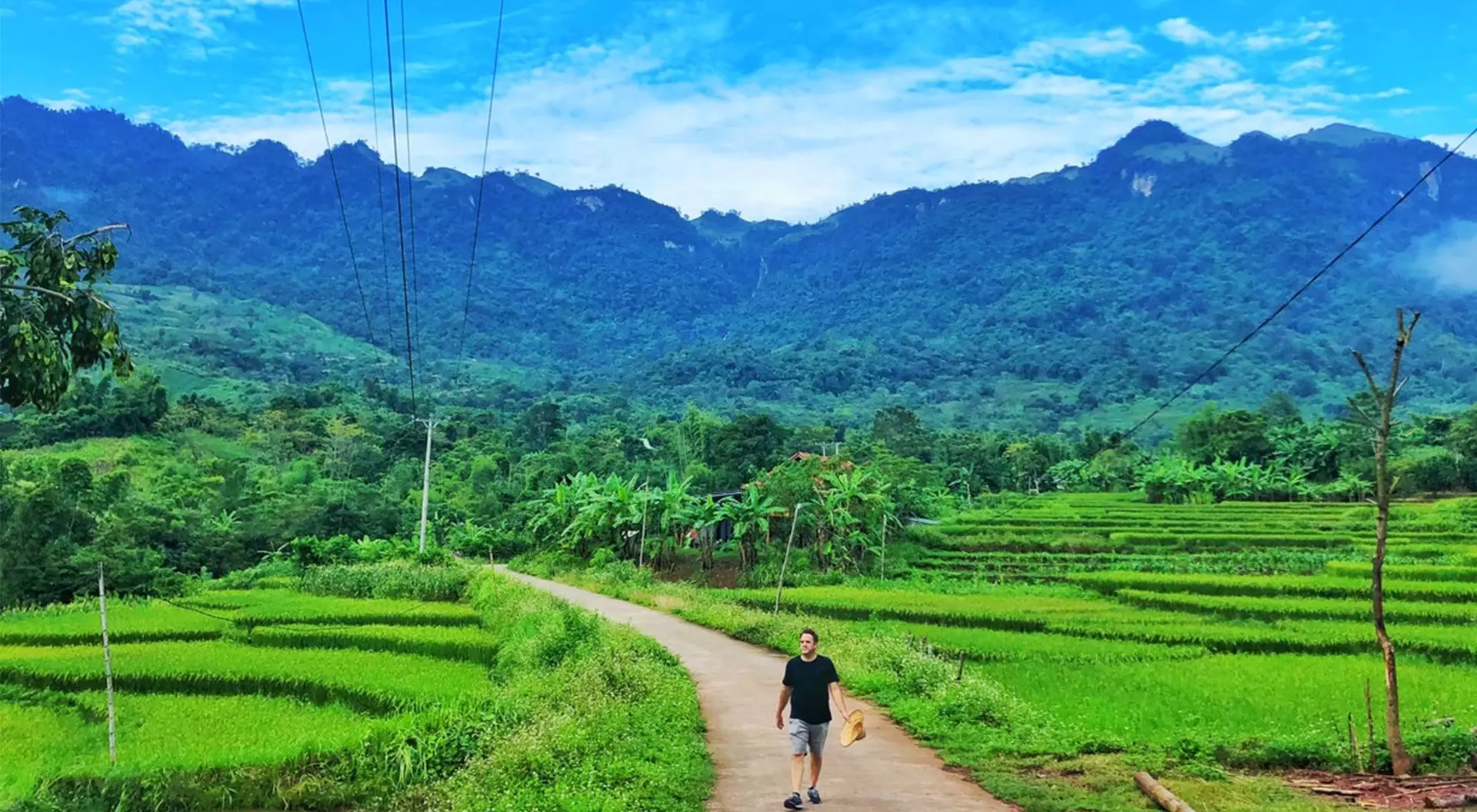 man walking through field alongside rice paddies