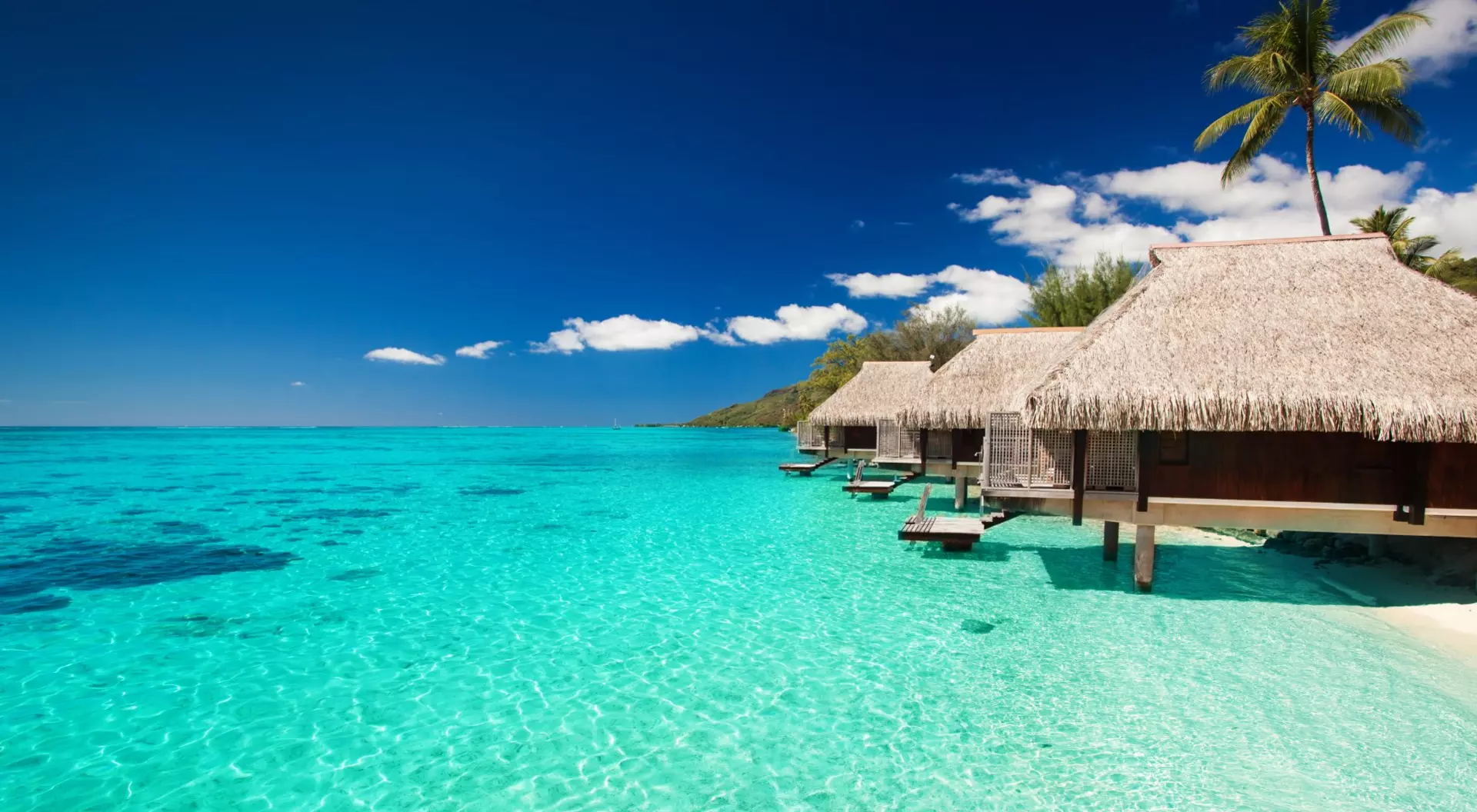 Villas on the green tropical beach with steps into water