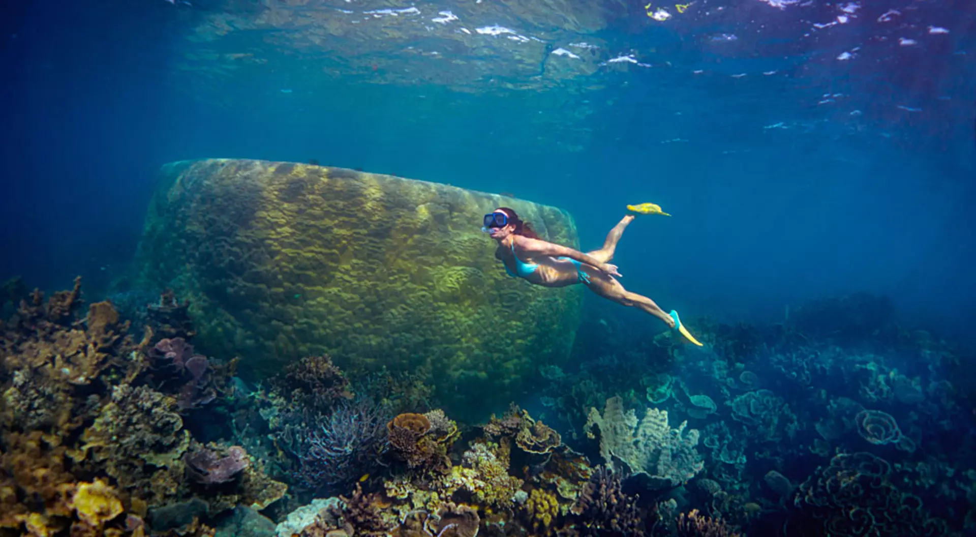 Australia Woman Snorkeling at Coral Bay