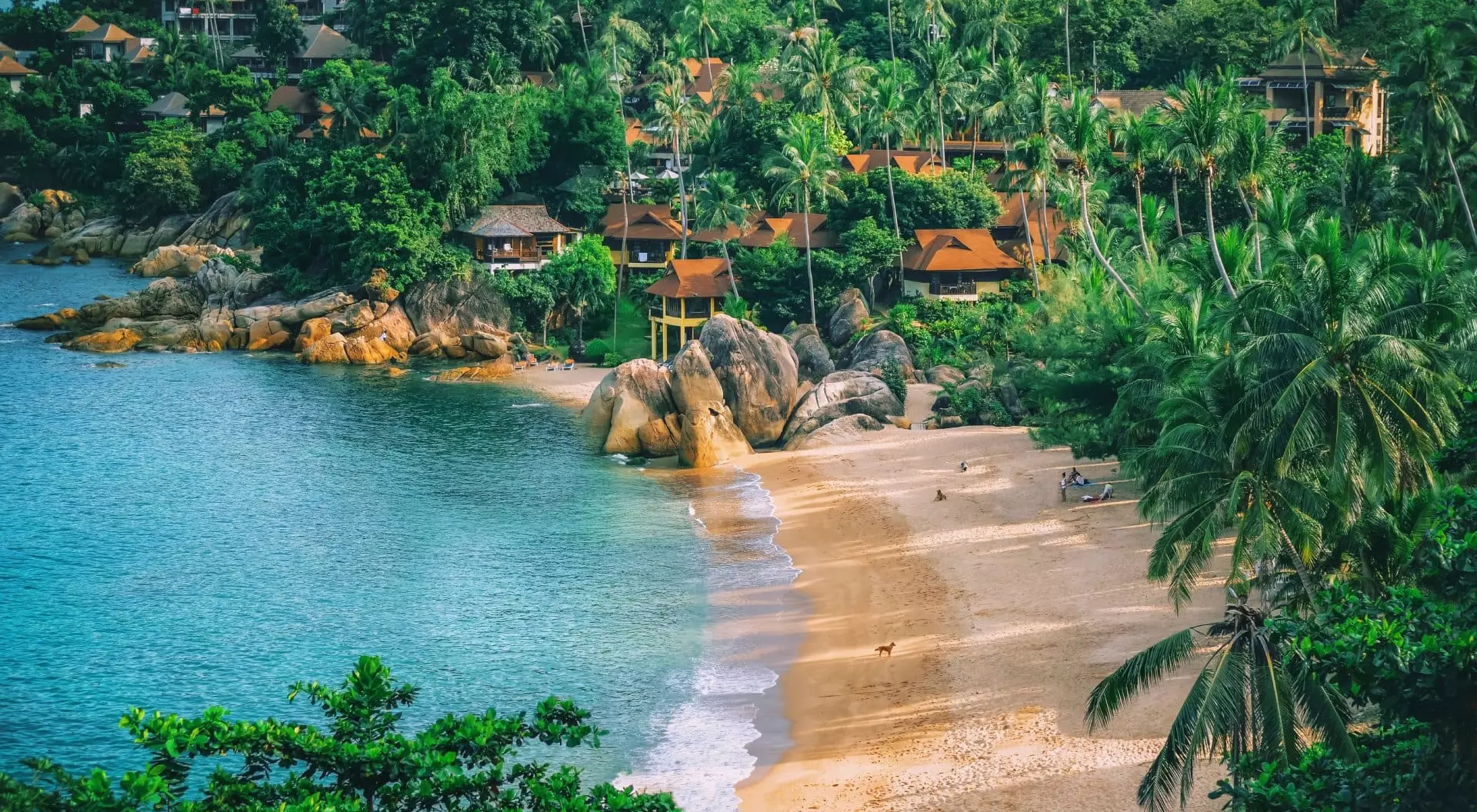 Koh Samui, Thailand aerial view of a sandy beach with tropical forest surrounding