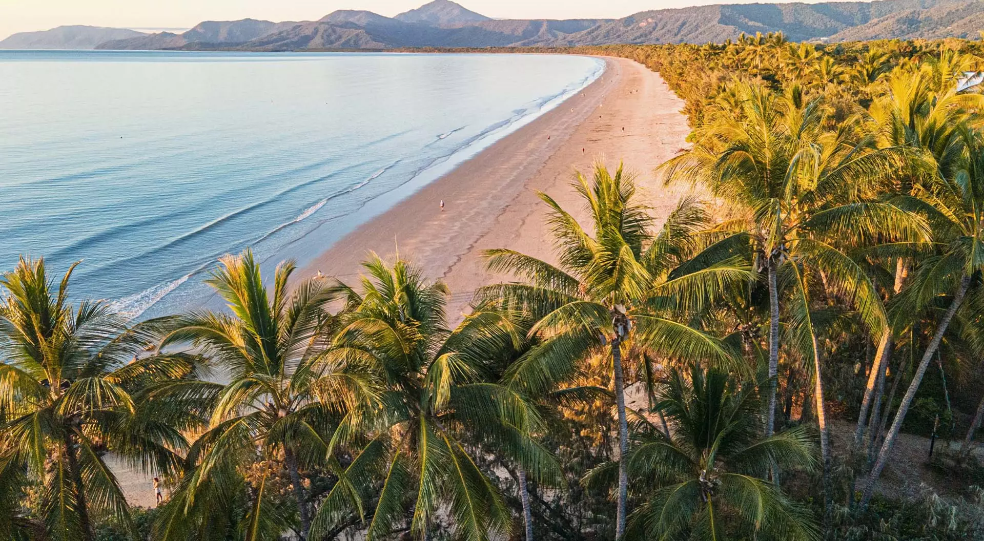 Port Douglas, Australia Panoramic view of the beach and palm trees lining the ocean in Port Douglas, Australia