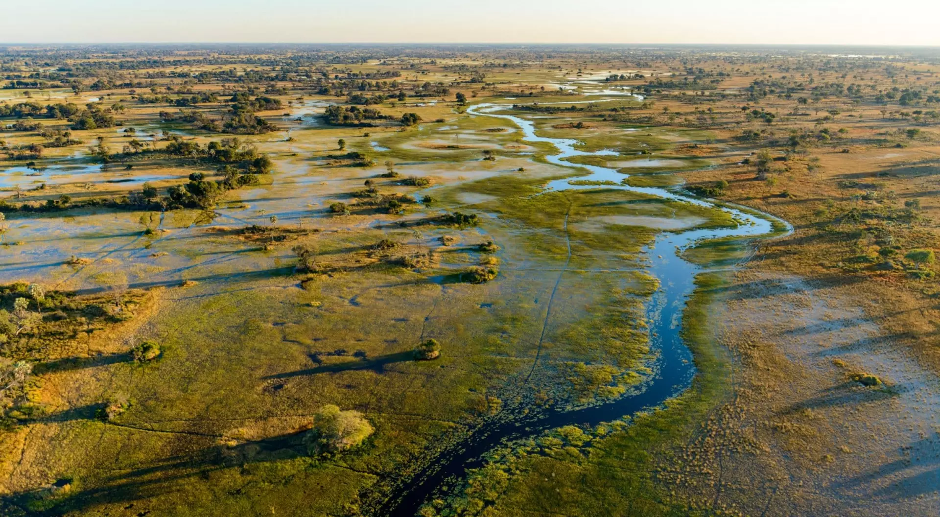 an aerial view of the waterways and flooded plains of the Okavango Delta in Botswana