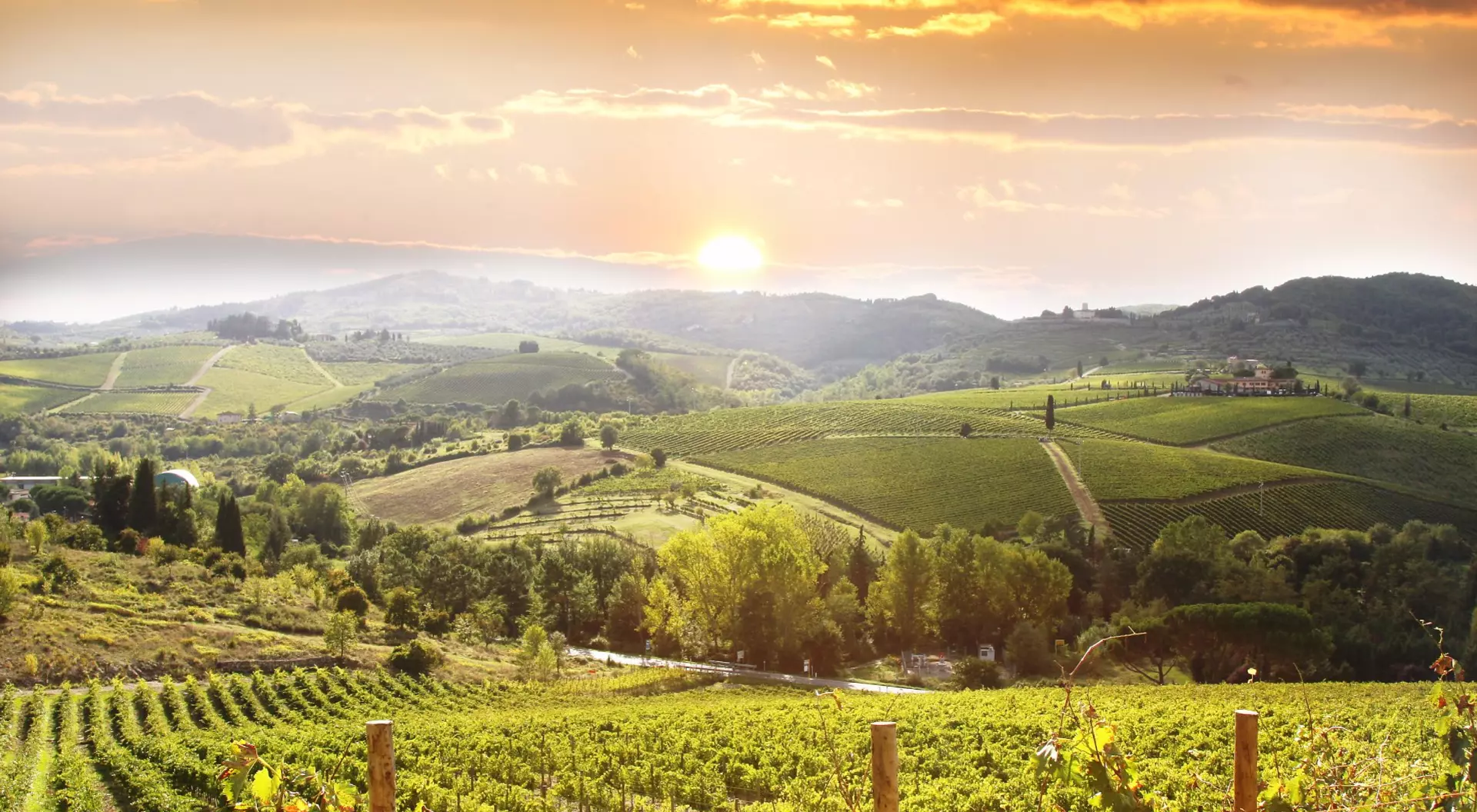 Chianti, Tuscany, Italy Chianti vineyard landscape in Tuscany, Italy