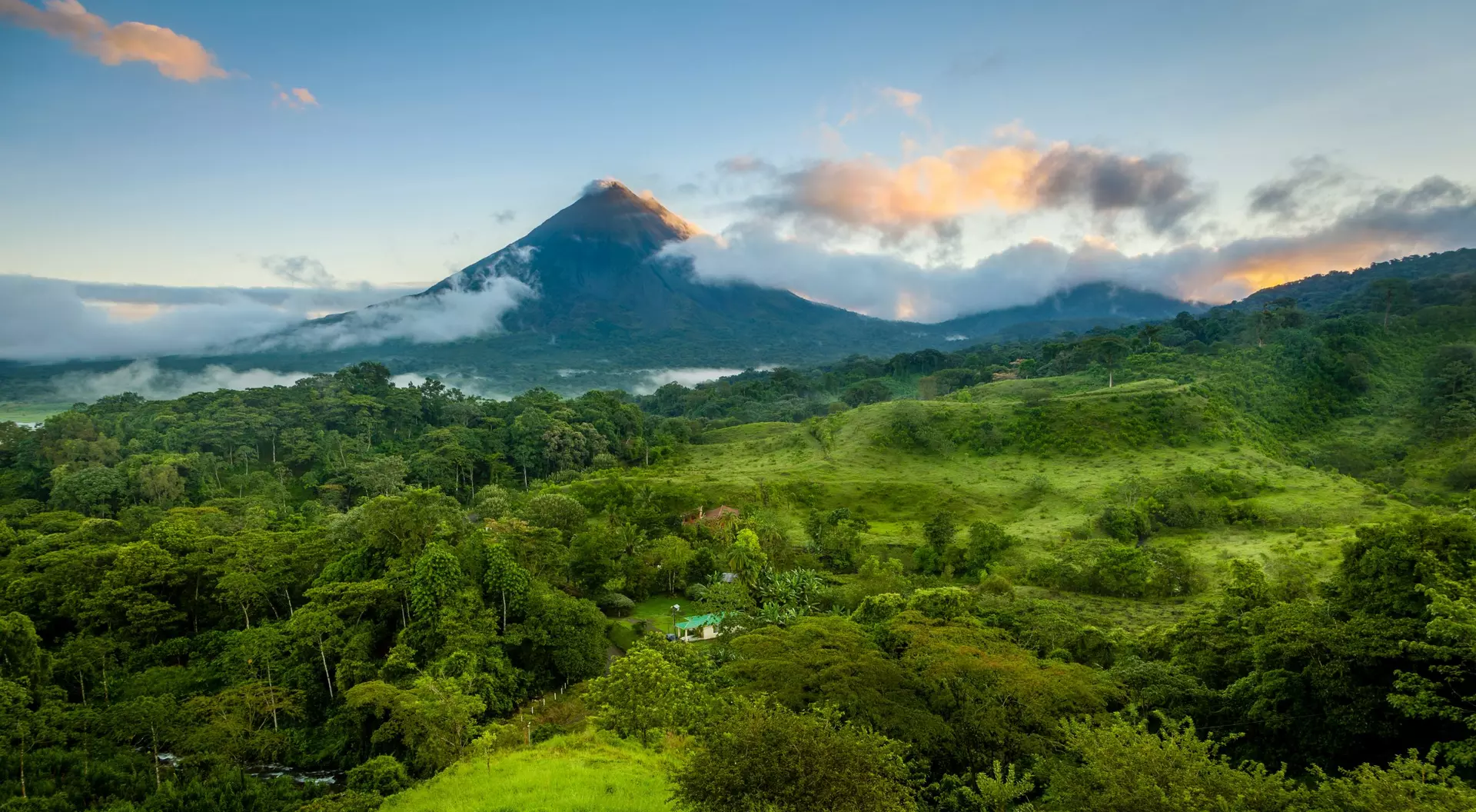 rainforest with volcano in background