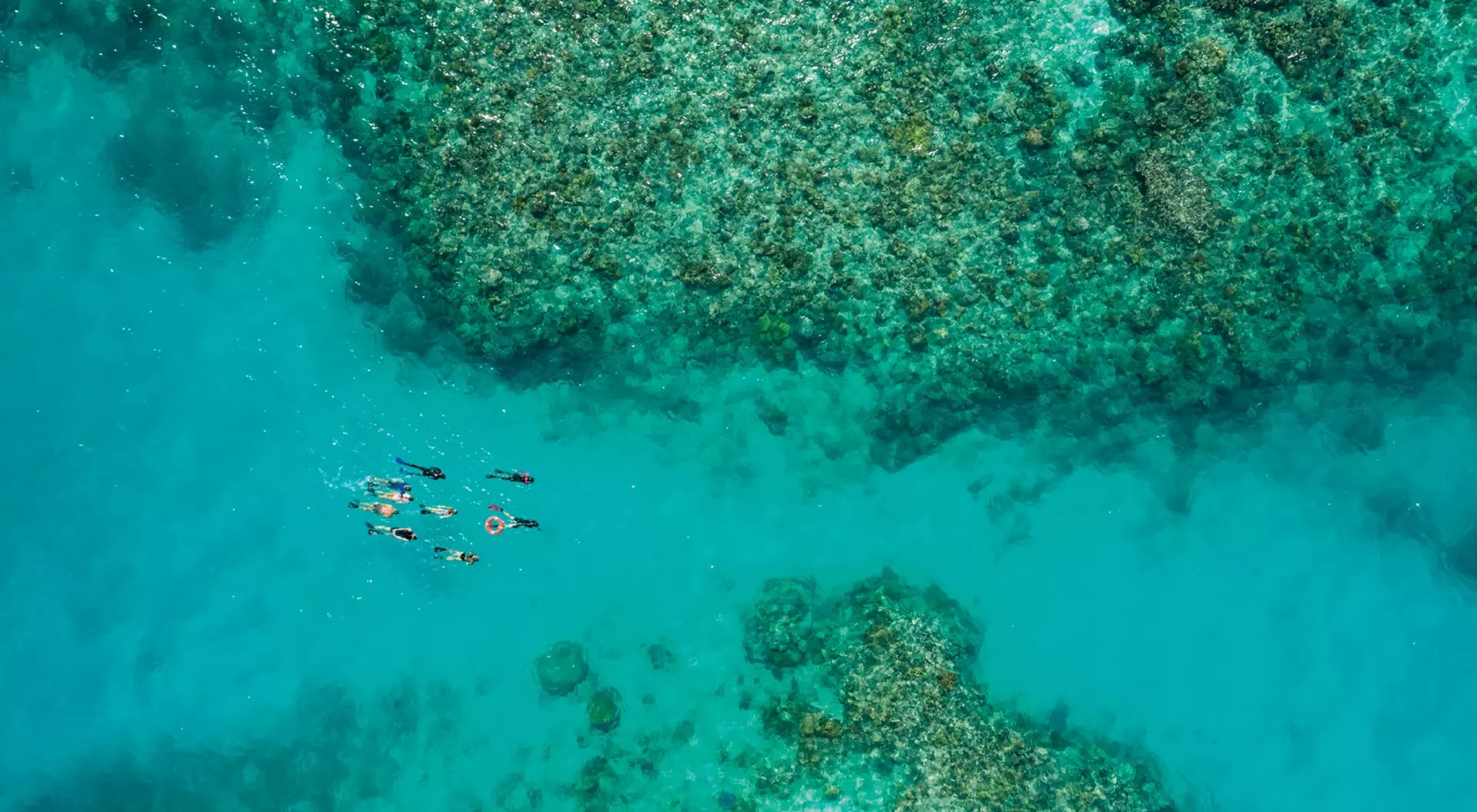 aerial view of snorkellers in the waters above a coral reef