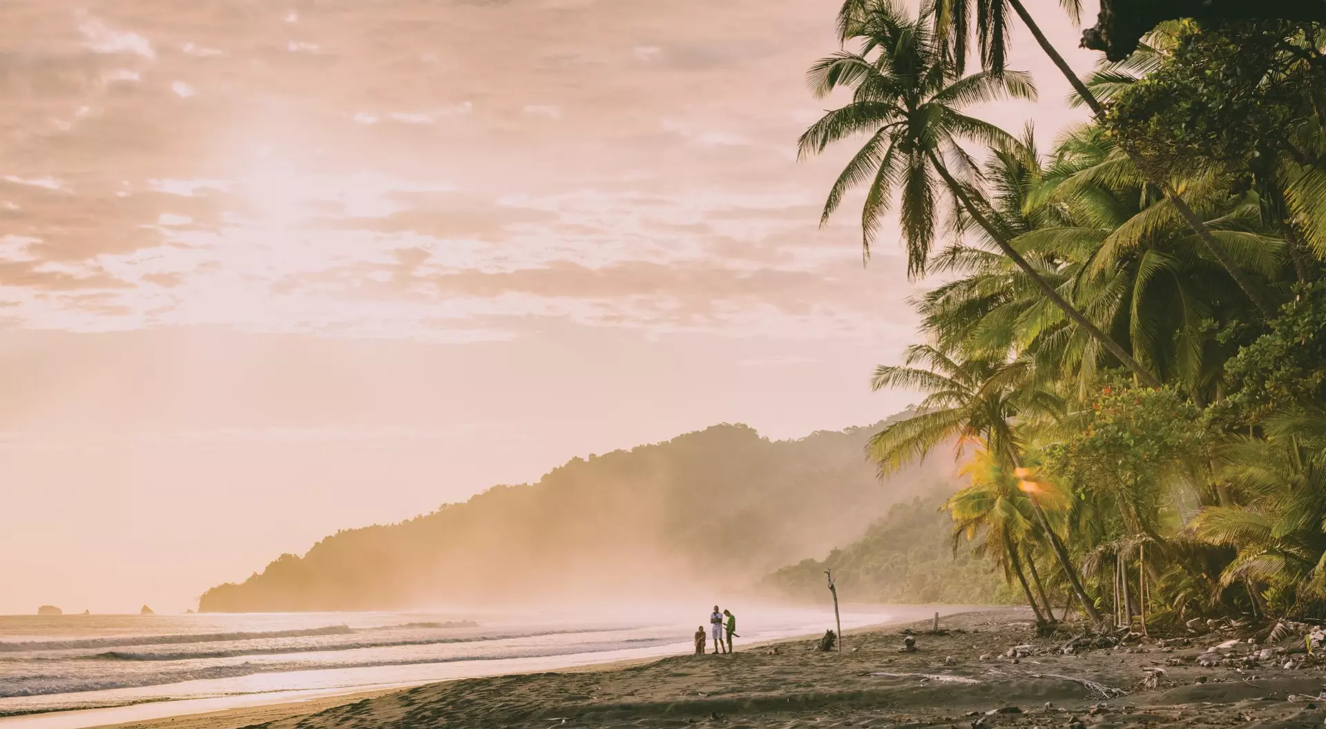 people on beach in morning with palm trees, sand and mist