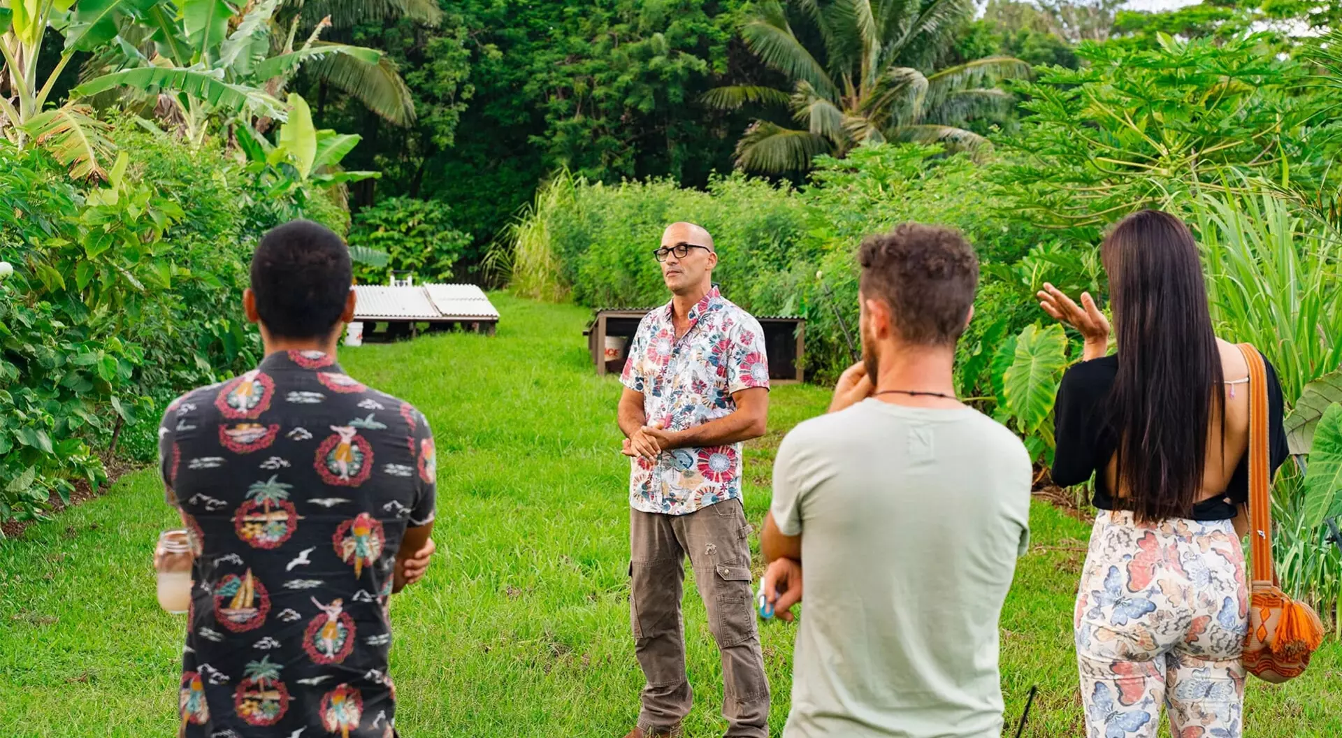 Hawaii meeting in the park in hawaii