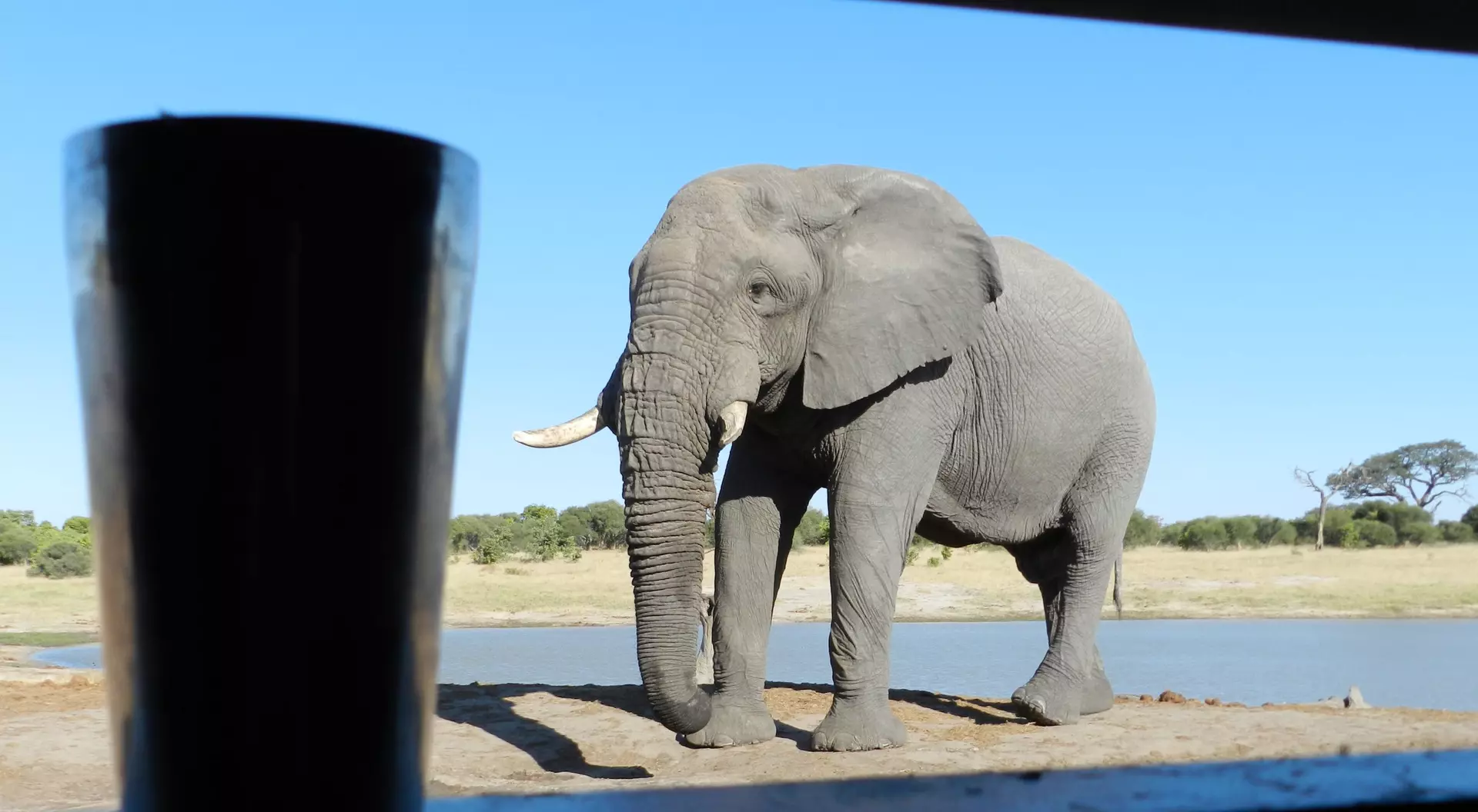 Zimbabwe Enjoy Safari to Hwange National Park in Zimbabwe, Goway Travel