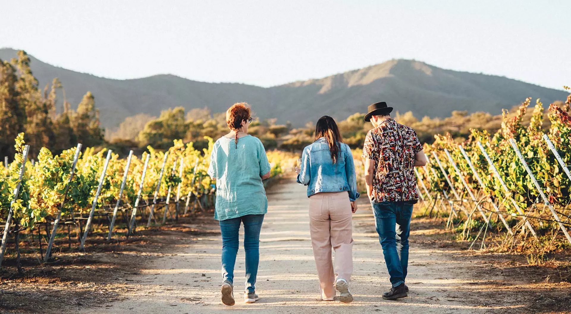 Central Valleys, Chile Two tourists and a guide walking through a vineyard in Chile's Central Valleys