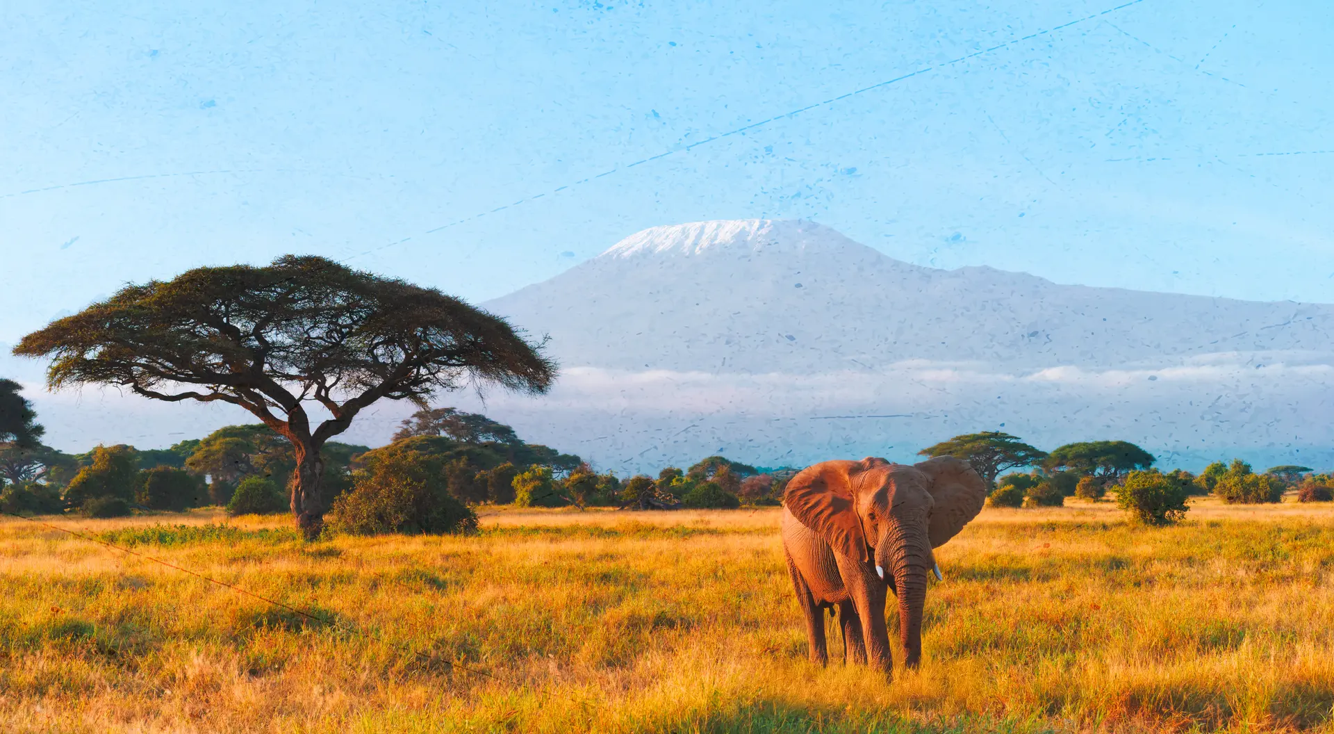 Goway has been running trips to Africa since the early 1970s, one of the first North American travel companies to do so.