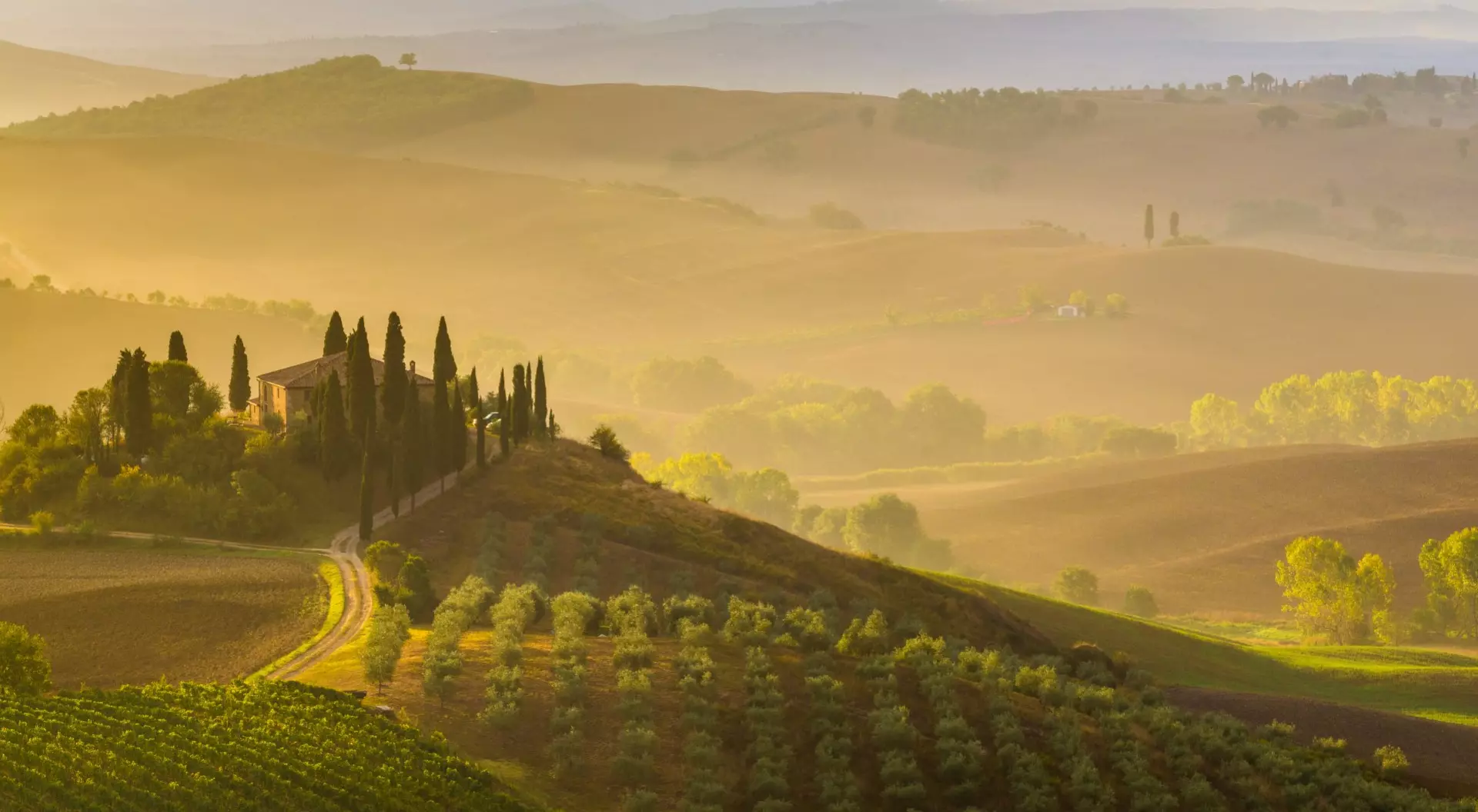 Val d'Orcia, Tuscany, Italy misty morning of hilltop fortification looking over vineyards and valley