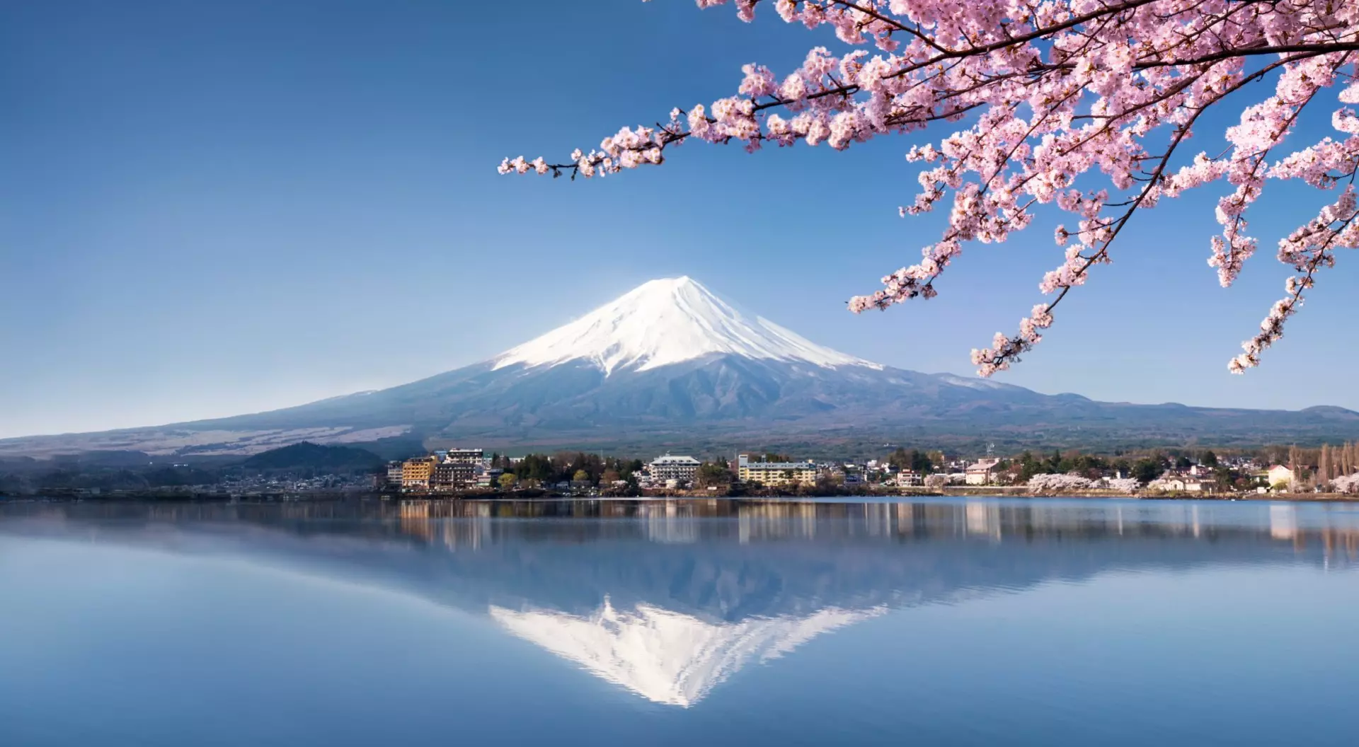 Mount Fuji, Japan mountain across a clear lake with reflection and cherry blossoms