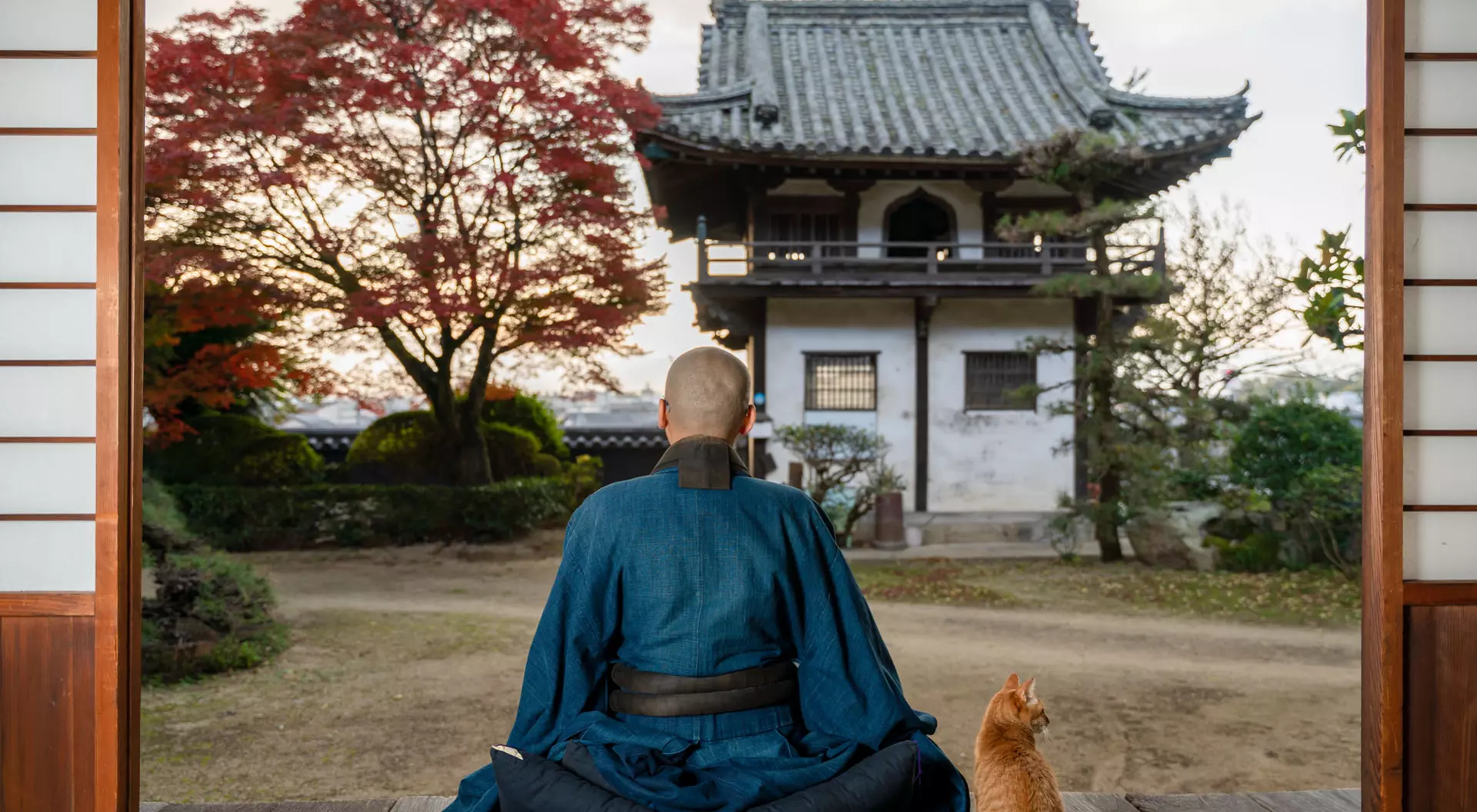 A Japanese Buddhist monk meditating next a cat in a temple in Japan.