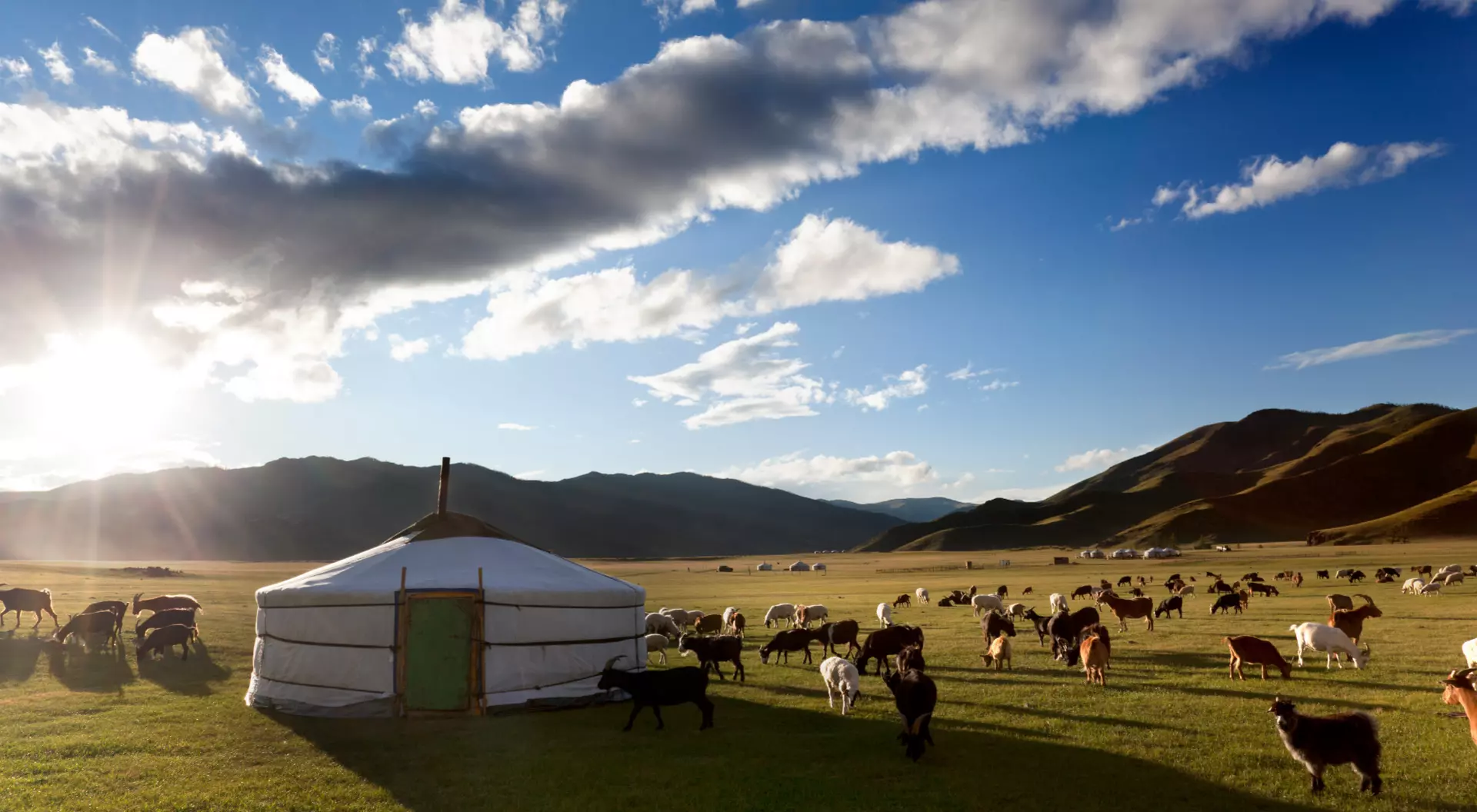 View of a ger and animals in the Orkhon Valley in Mongolia.