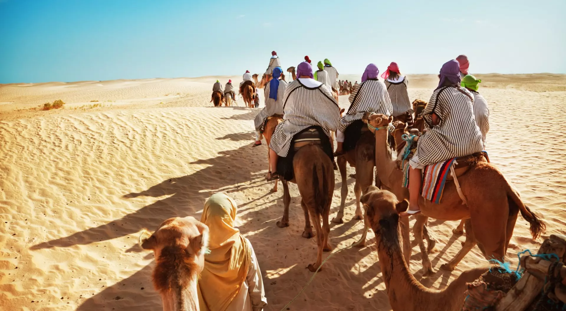 a group of travellers ride camels into the sands of the Sahara Desert on a group trip in Morocco