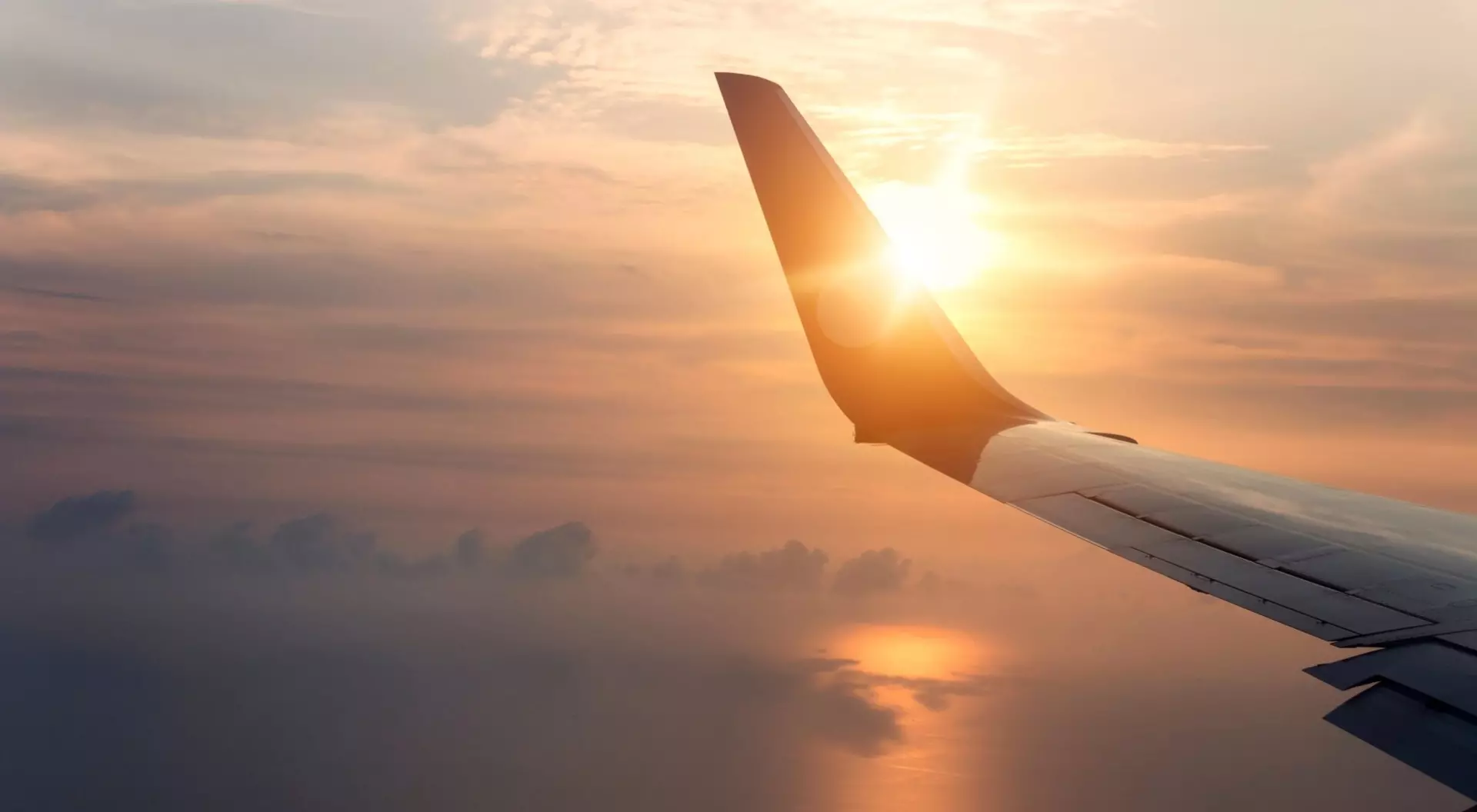 plane wing in the sky