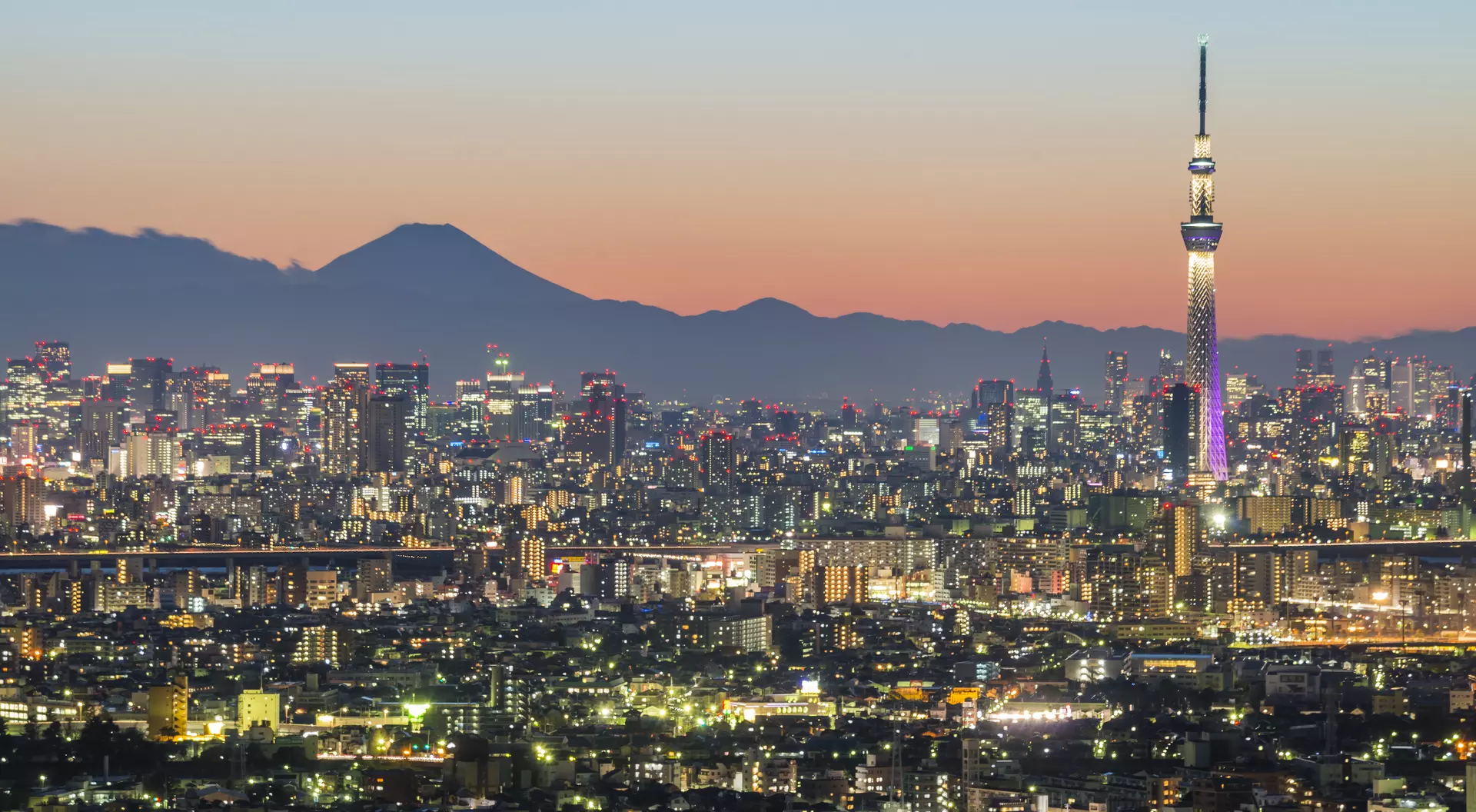 Tokyo city and Skytree with Mt Fuji in the background, Japan