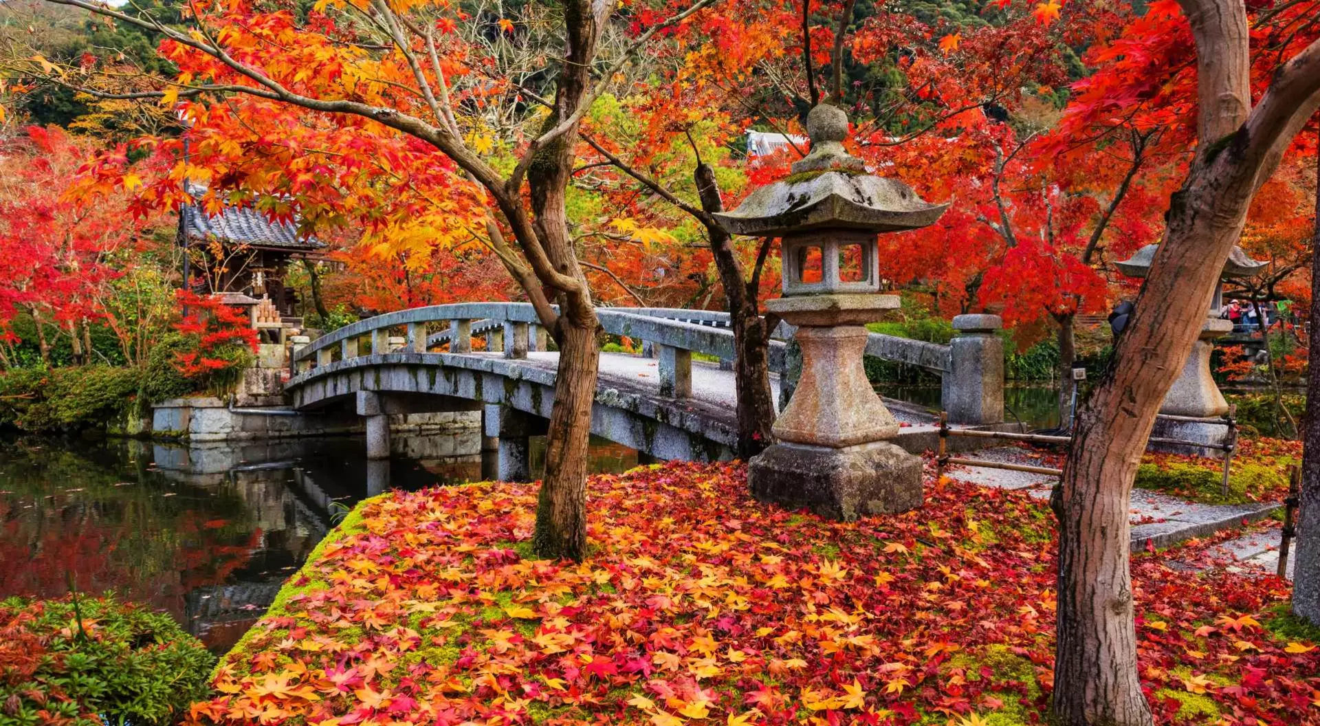 Eikando shrine and bridge with peak autumn foliage, Kyoto, Japan