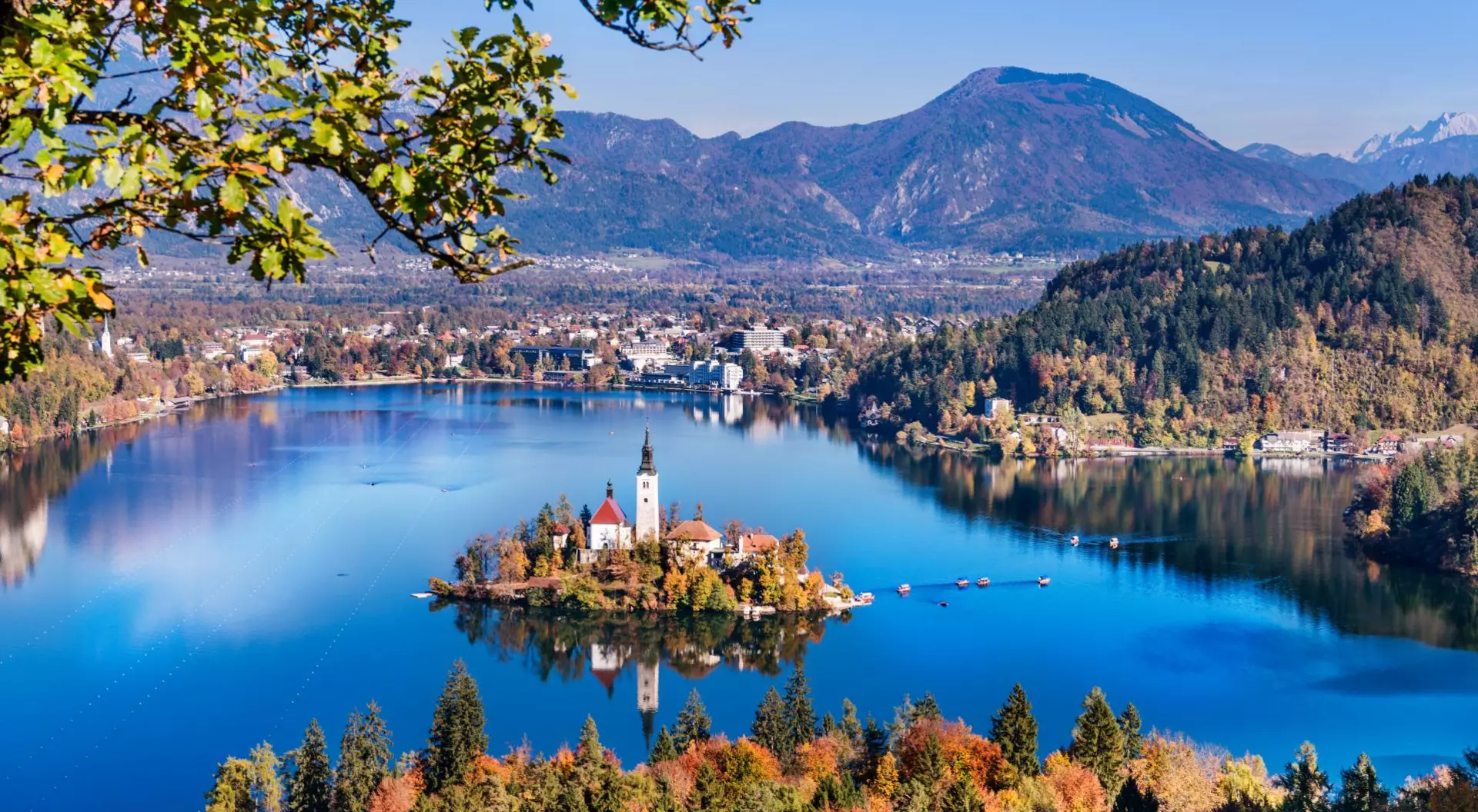 Lake Bled, Slovenia Aerial view of Lake Bled in autumn with Church of the Assumption of Maria and traditional pletna boats, Slovenia Tour