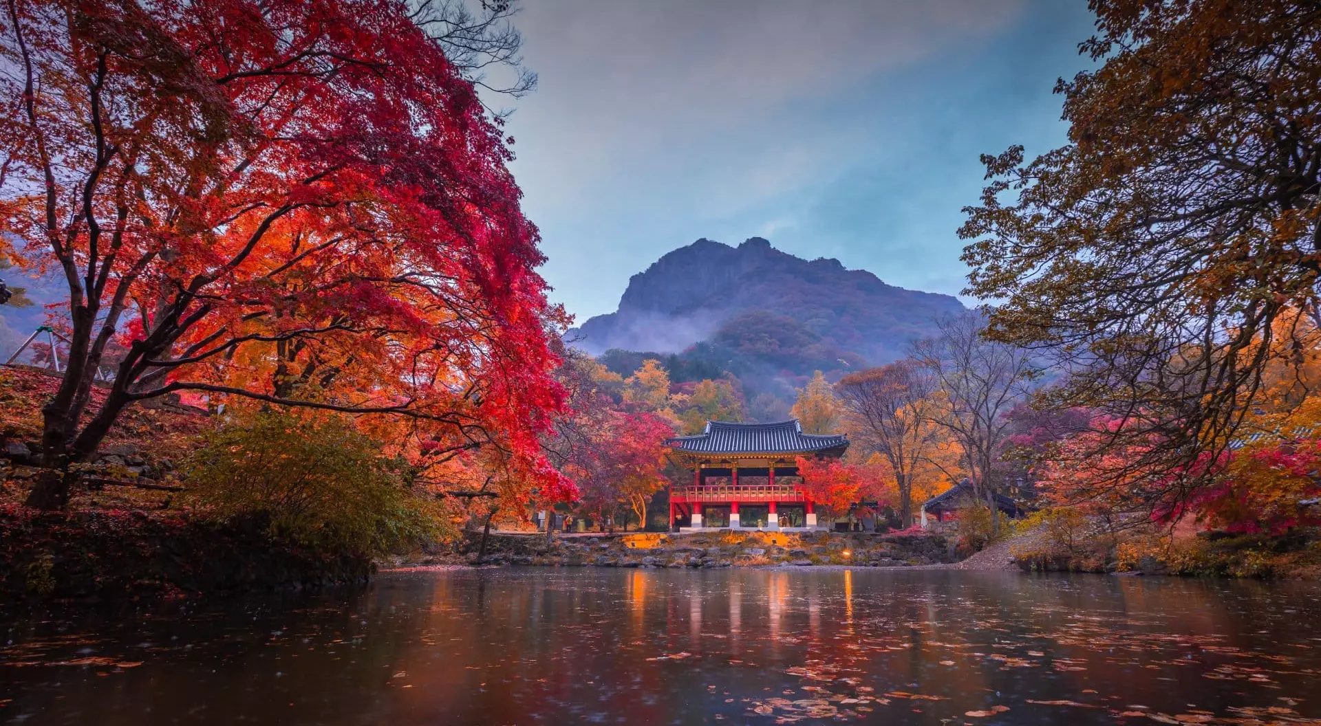 Baekyangsa Temple surrounded by the colours of autumn in Naejangsan National Park in South Korea