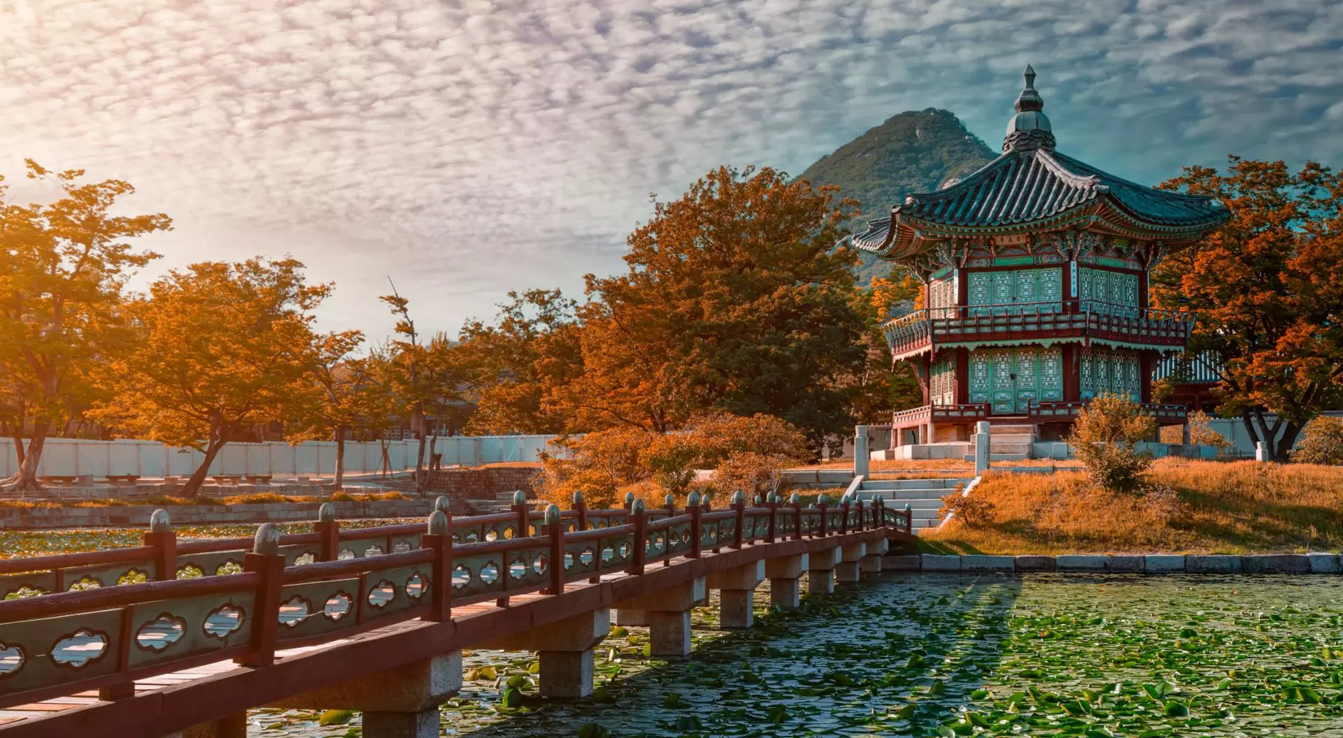 view of a palace pagoda surrounded by oranges of fall and a moat and bridge