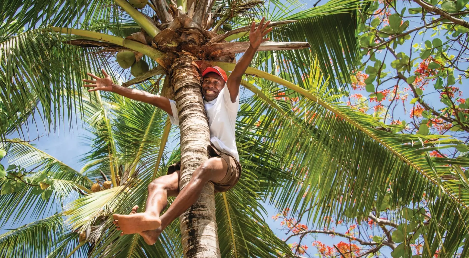a man in a coconut tree energetically welcoming someone with both hands outstretched in Fiji